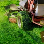 How to Fix Tire Tracks on Lawn: Simple Solutions for a Flawless Landscape