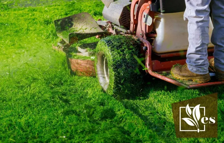 How to Fix Tire Tracks on Lawn: Simple Solutions for a Flawless Landscape