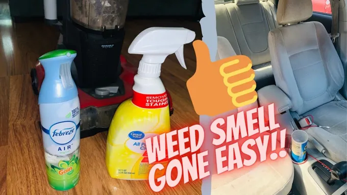 how to get the new car smell