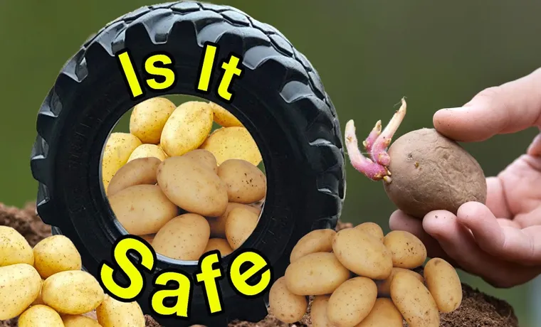 how to grow potatoes in a tire