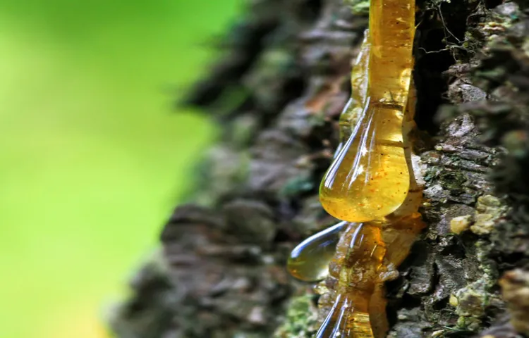 how to remove tree sap from tonneau cover