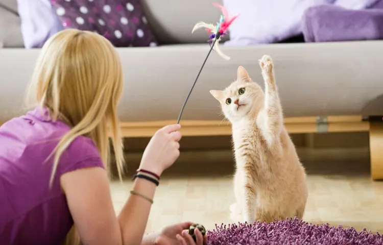 How to Tire Your Cat Out: Top 10 Fun and Interactive Ways to Keep Your Feline Active