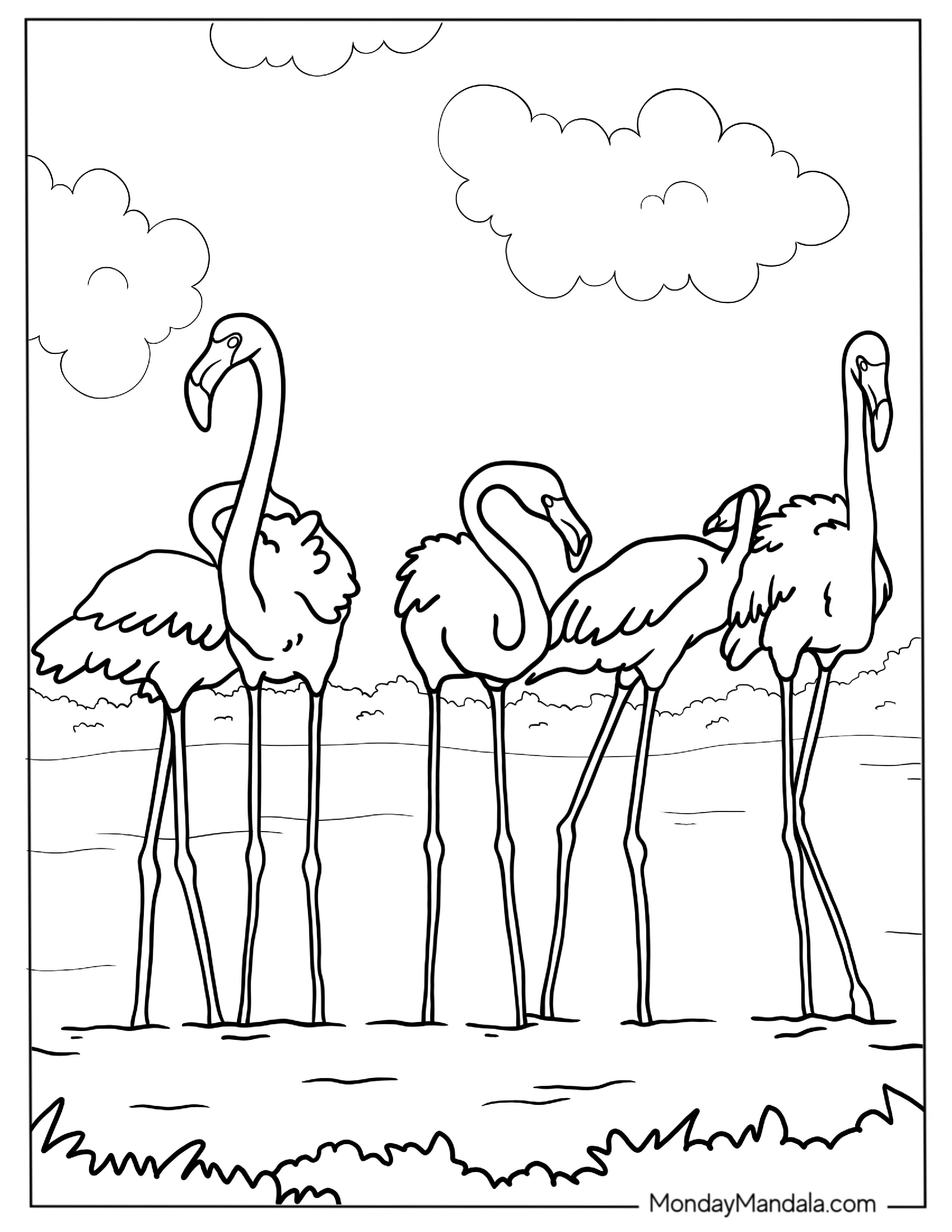 A Flamboyance Of Flamingos Coloring Page