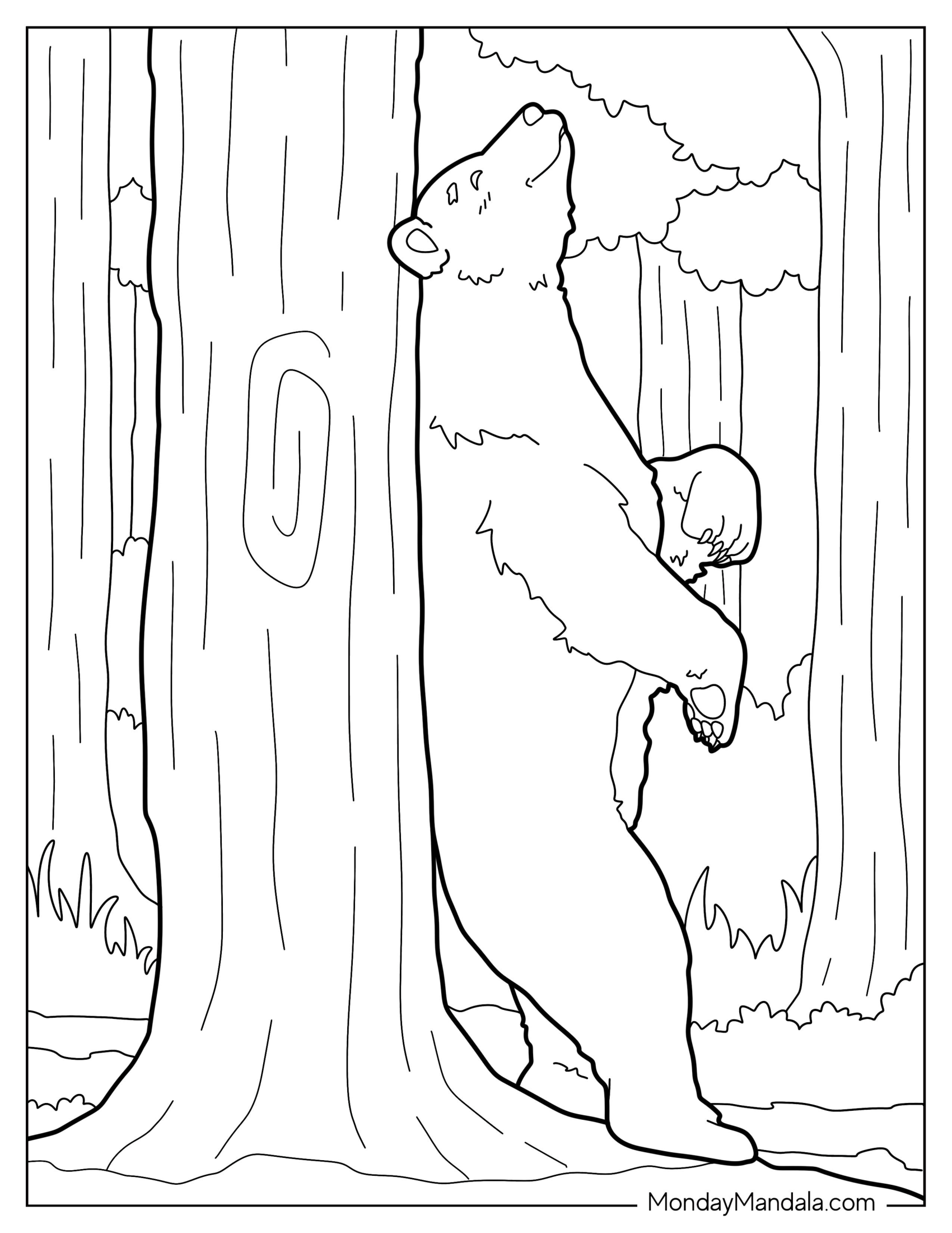 Adult Bear Coloring Page Rubbing Back On Tree