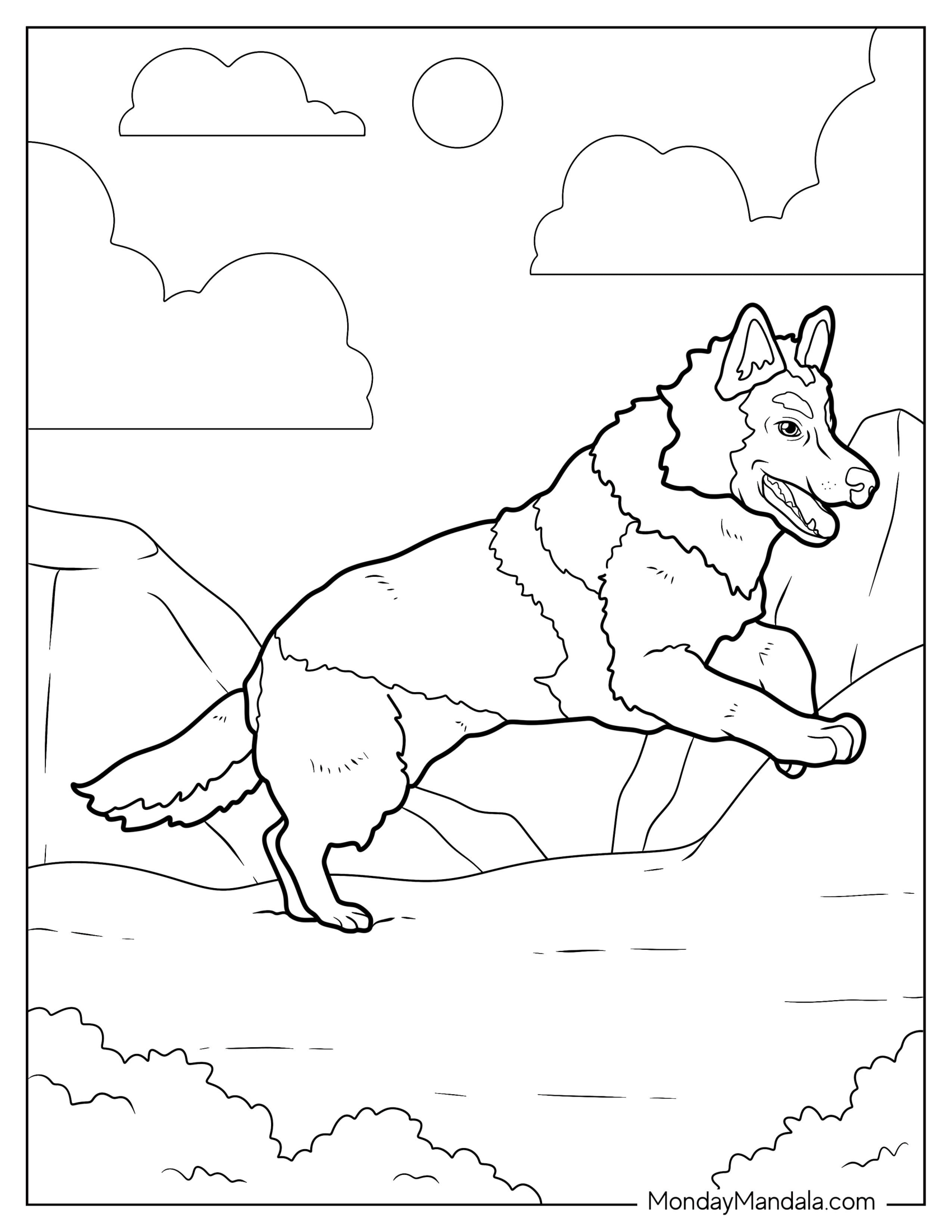 Adult German Shepherd Coloring Page On Rocky Terrain