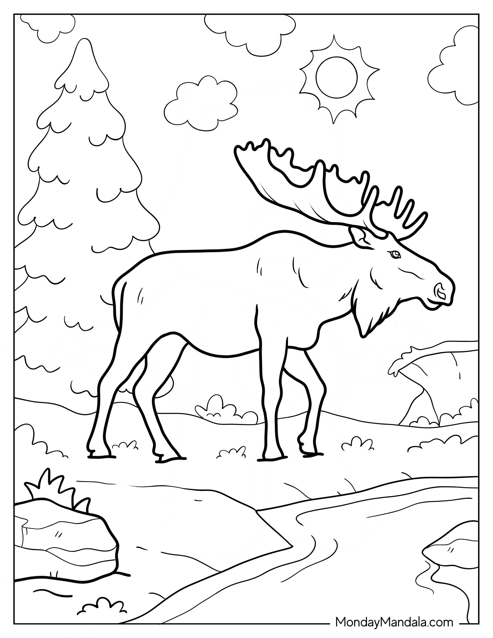 Adult Moose Coloring Page Approaching River