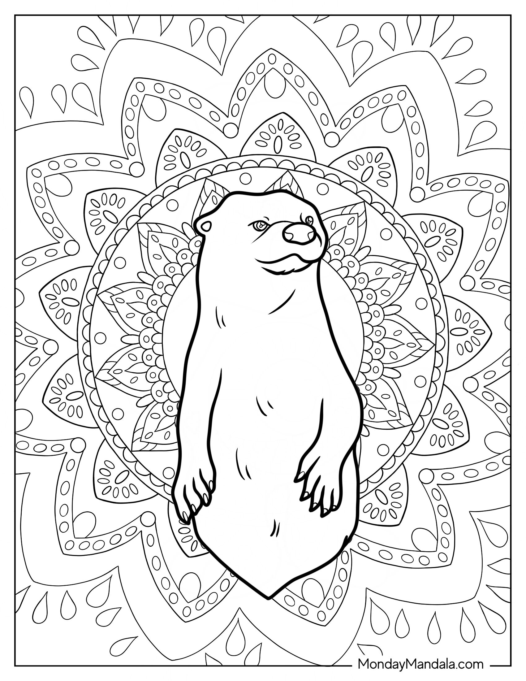 Adult Otter Coloring Page Standing In Front Of Mandala