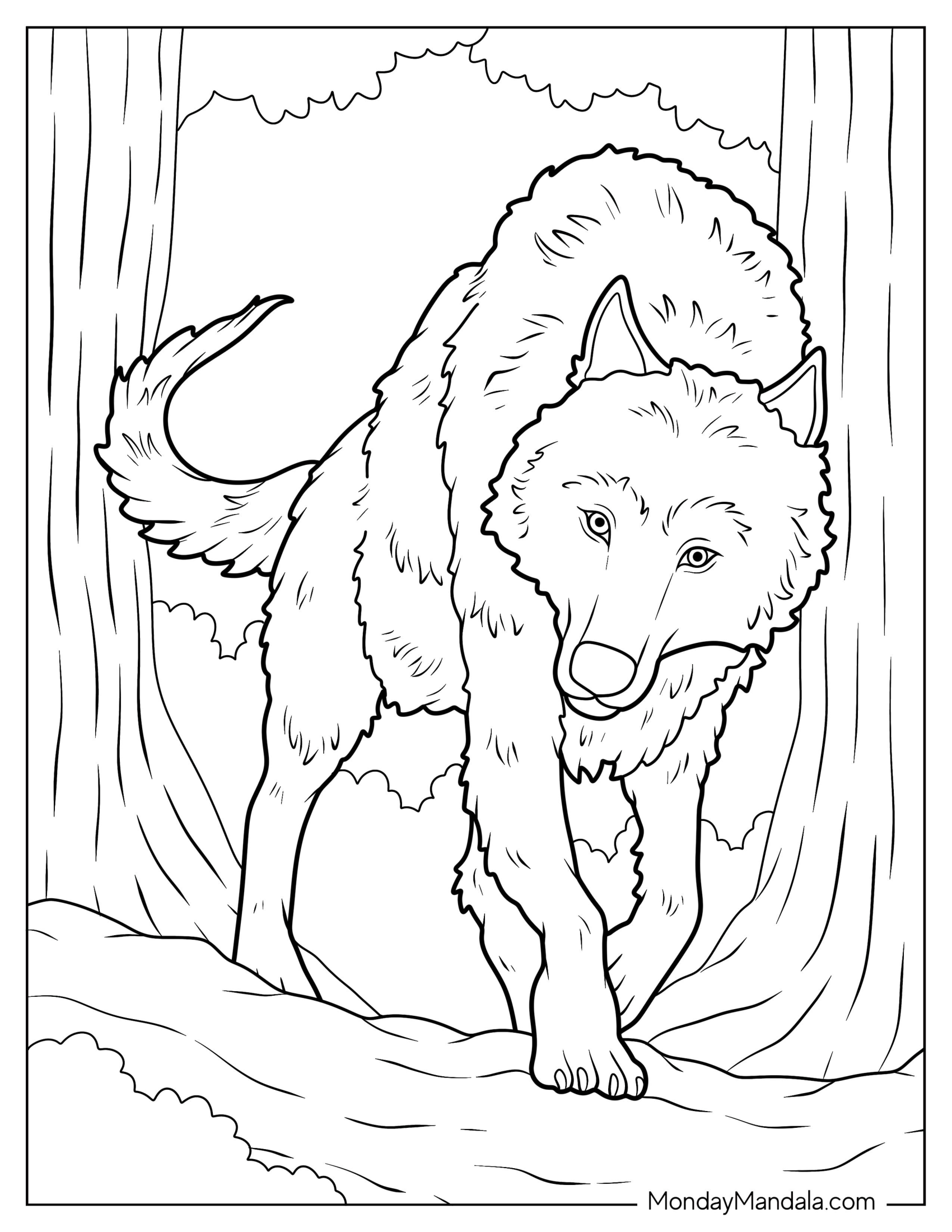 Alpha Wolf Coloring Page Emerging From Trees