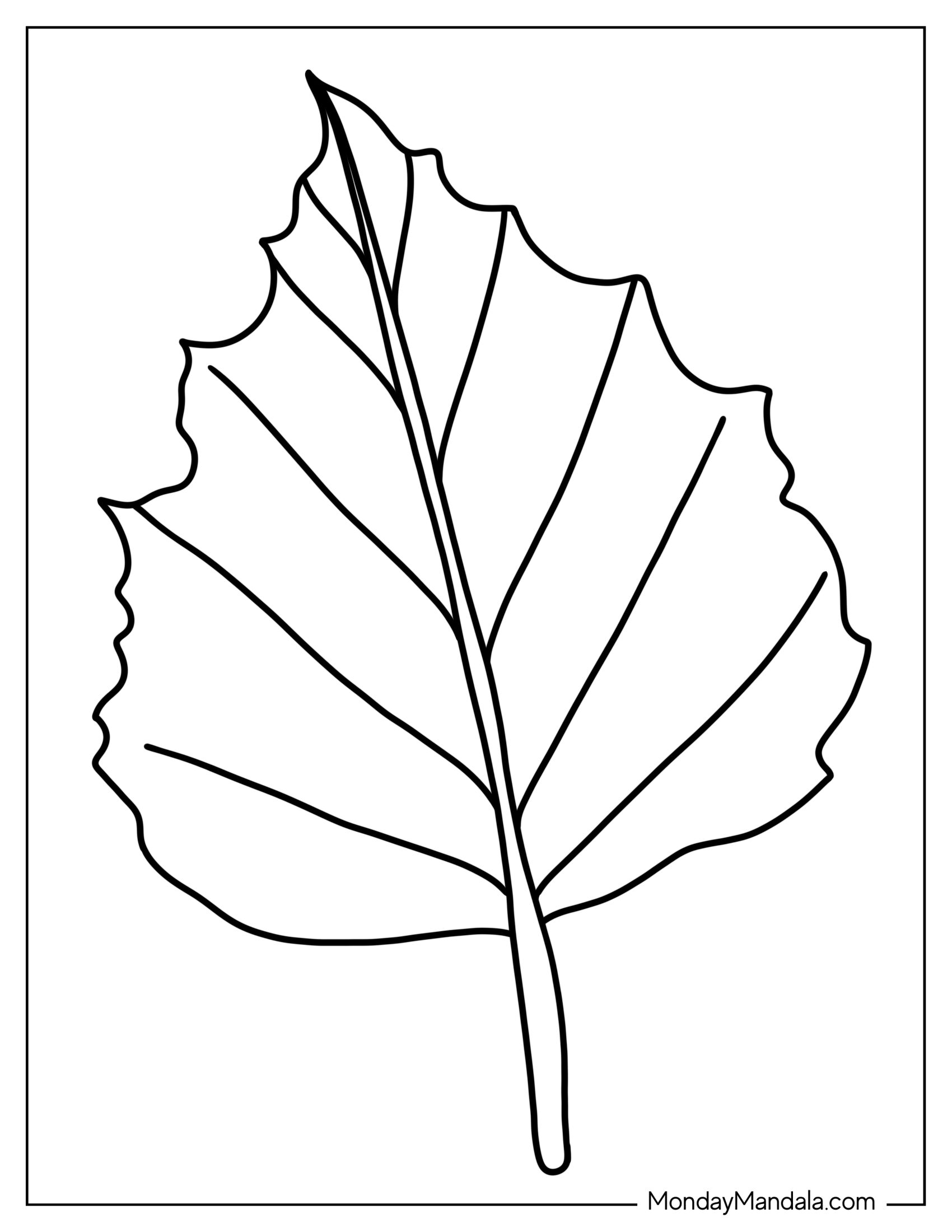 Aspen Leaf Coloring Sheet