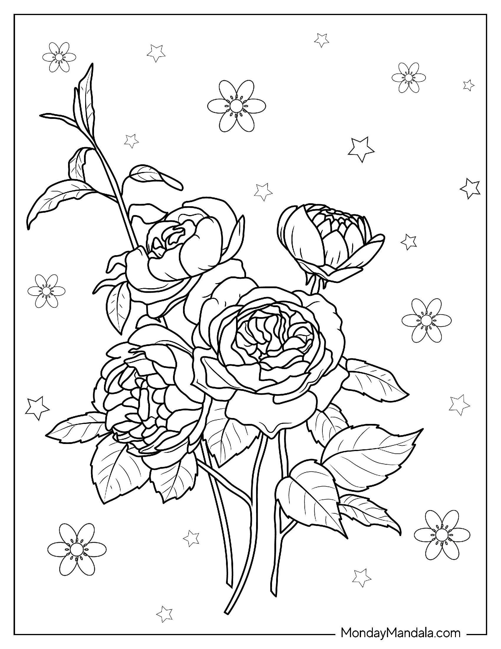 Assorted Wild Roses To Color