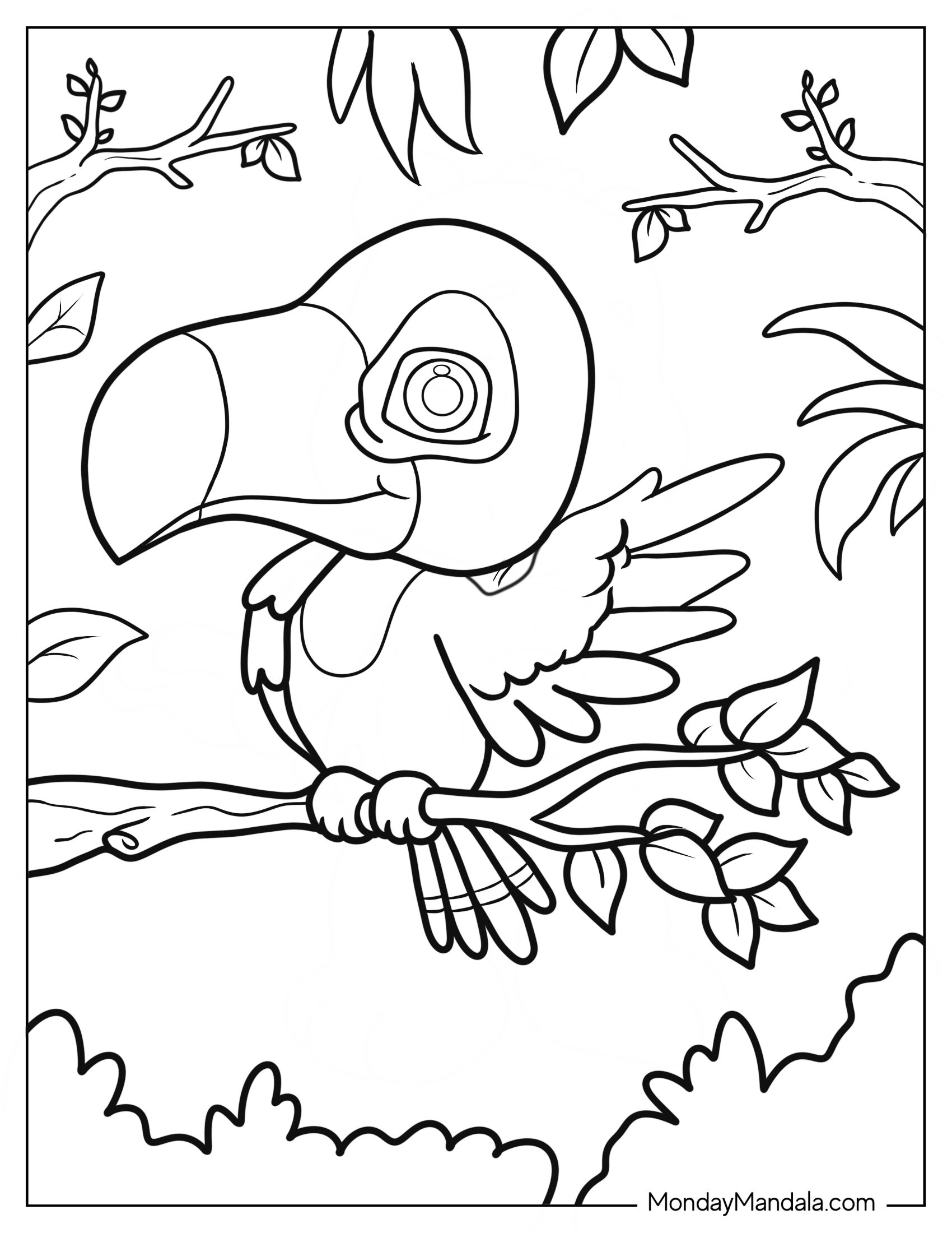 Baby Toucan Coloring Page Spreading Wings For Preschoolers