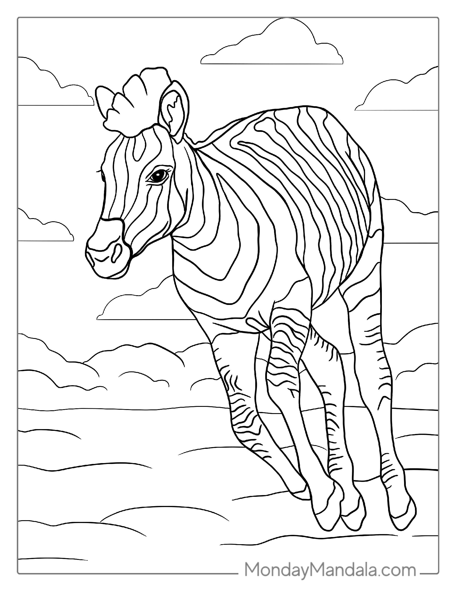 Baby Zebra Running To Color