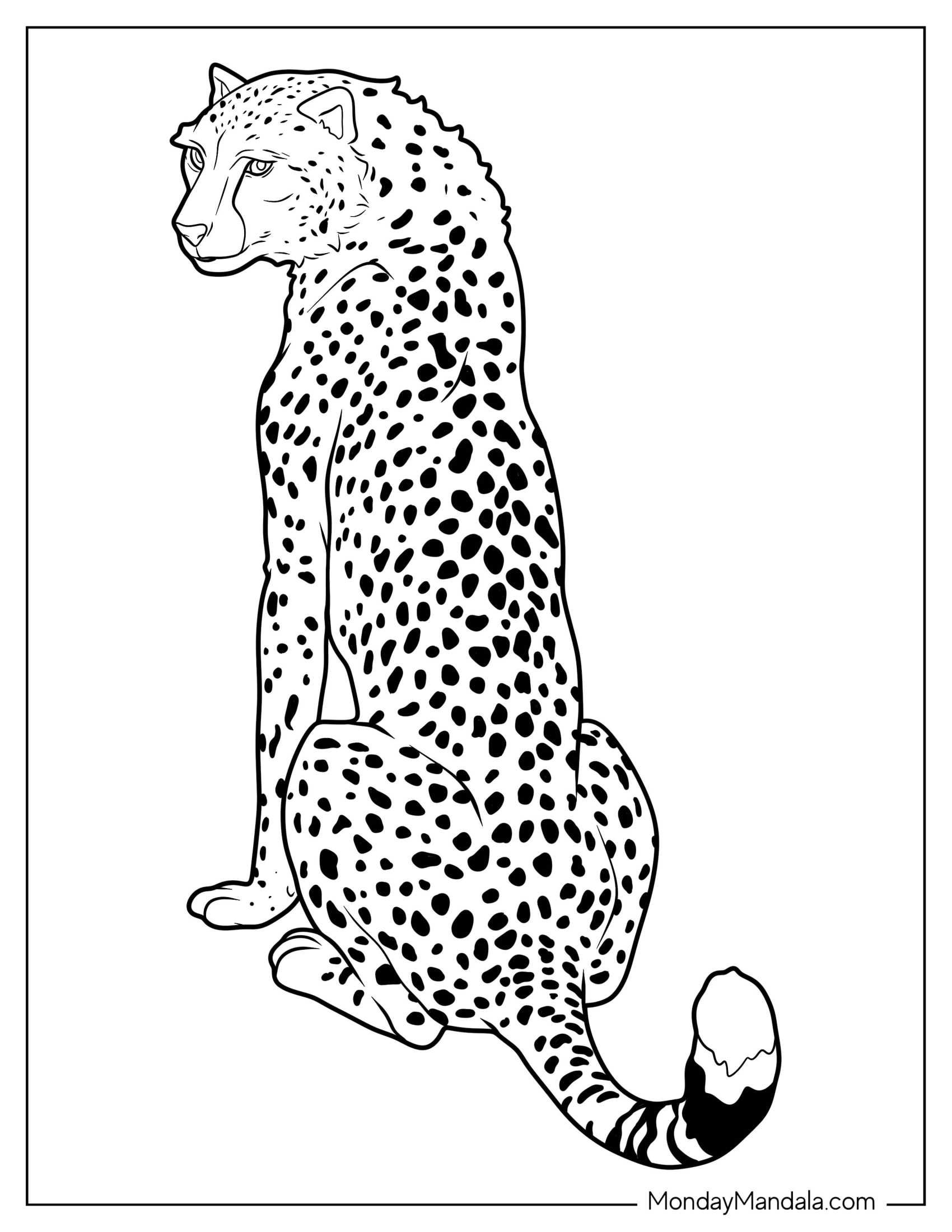 Back View Of Realistic Adult Cheetah Coloring Page