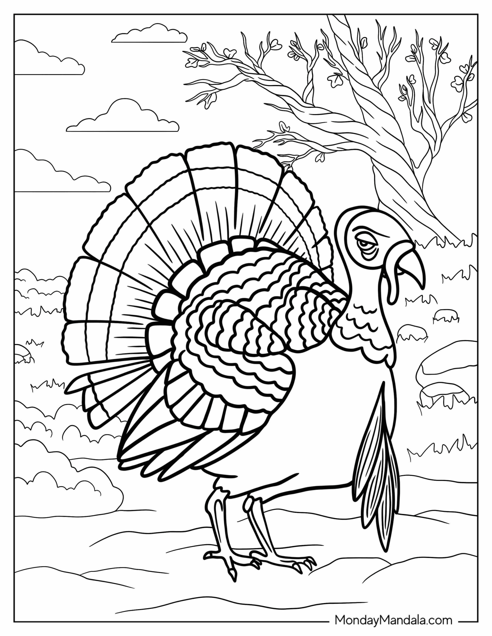 Big Turkey Walking In Nature Coloring Sheet