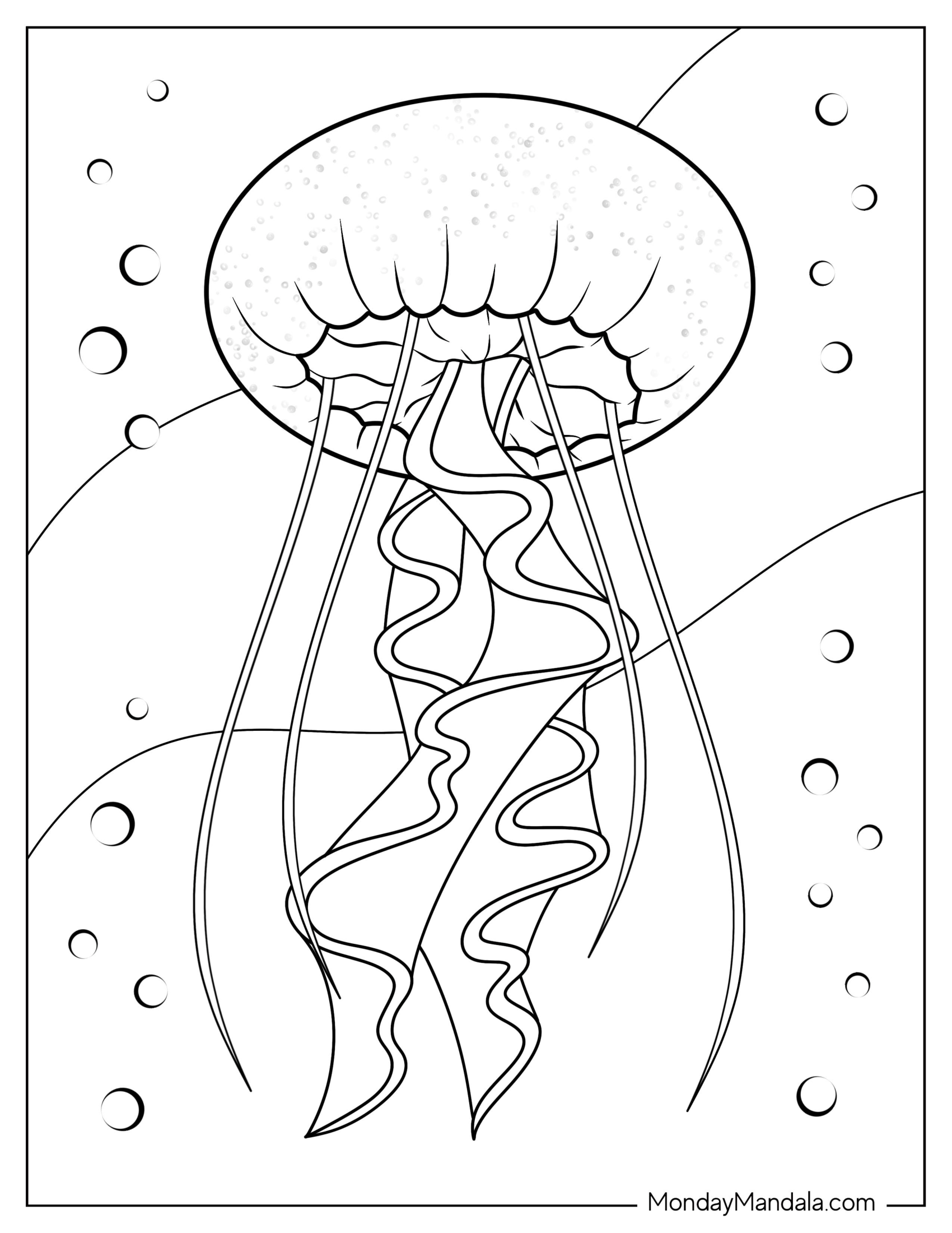 Bottom View Of Sea Nettle Jellyfish Coloring Page