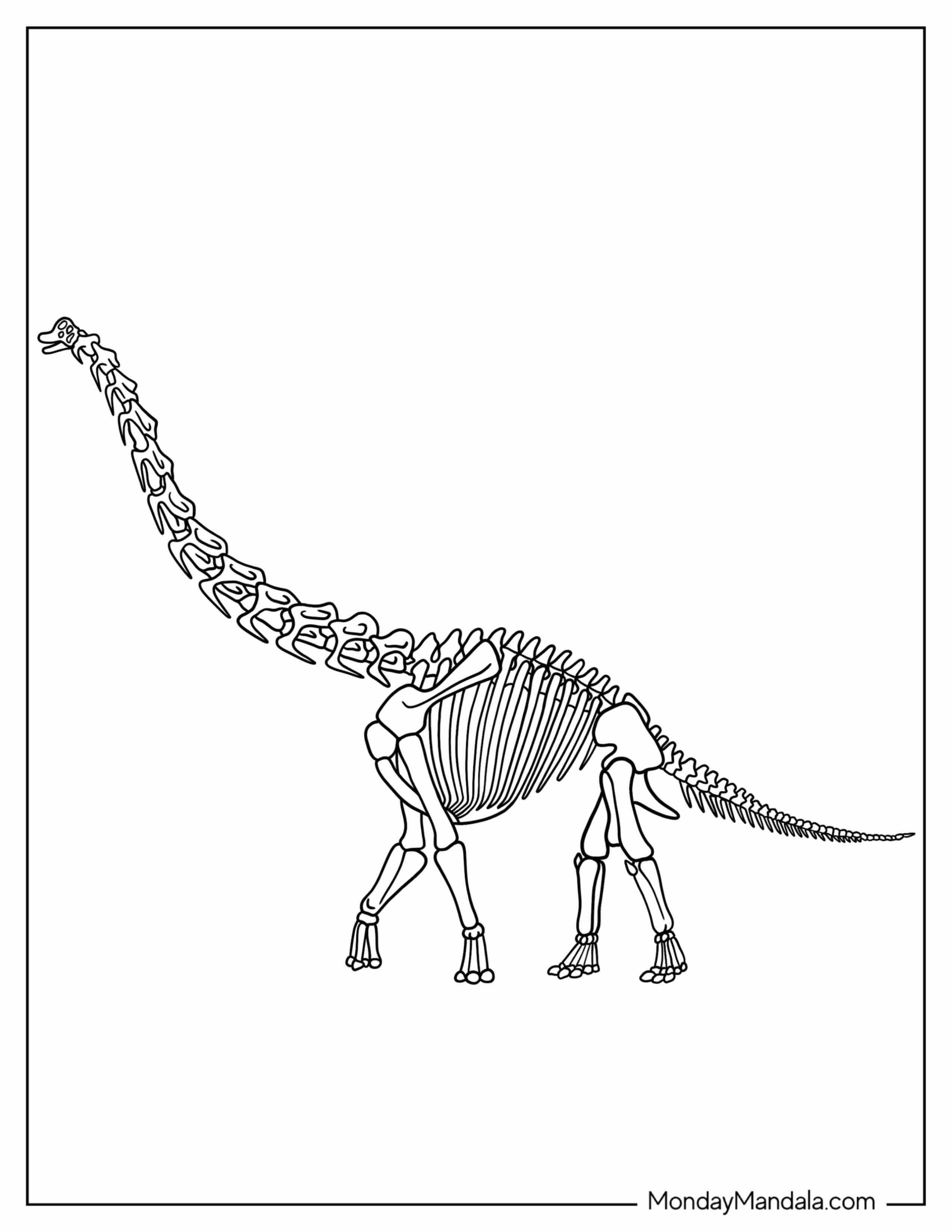 Brachiosaurus Skeleton