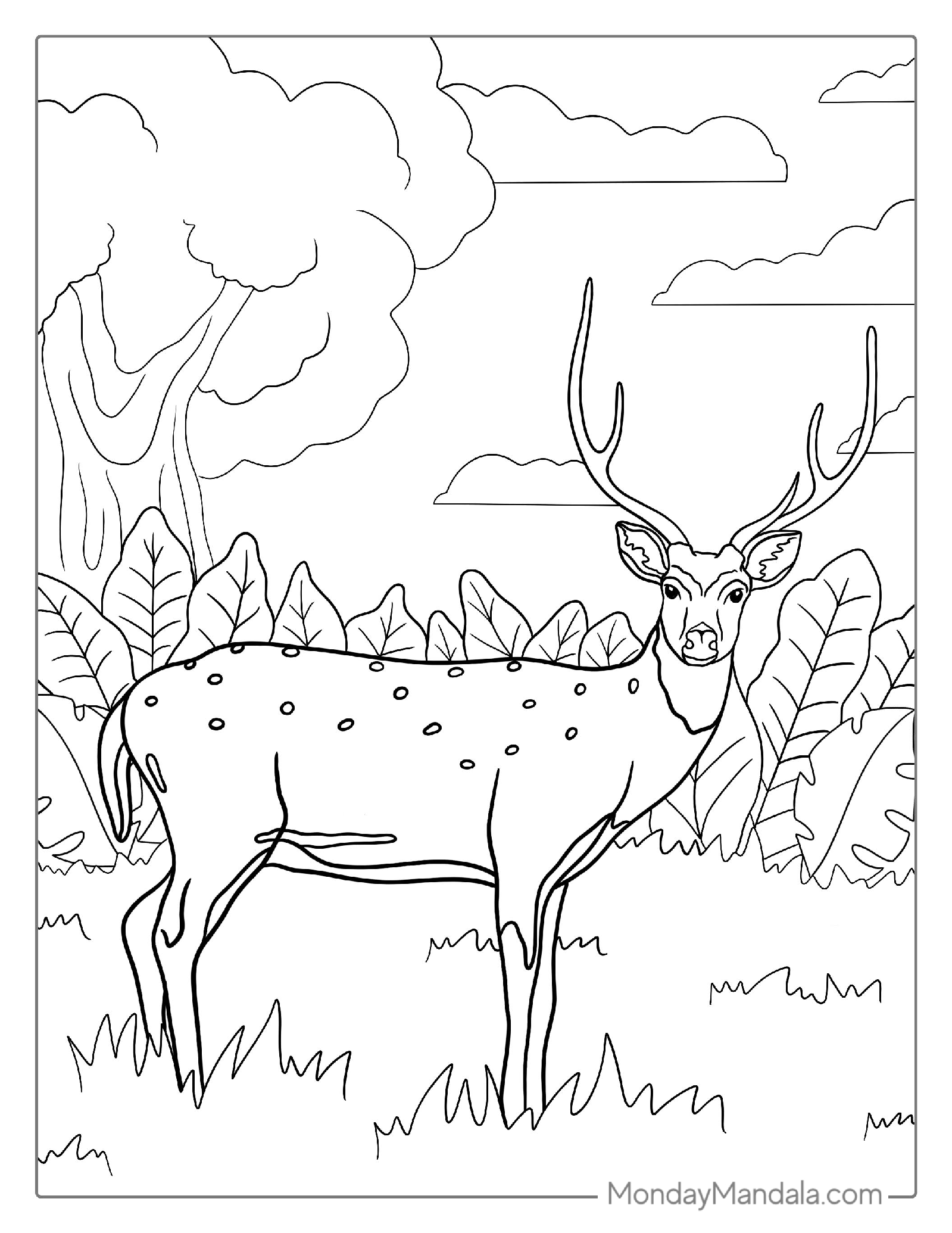 Buck Deer Coloring Page For Kids