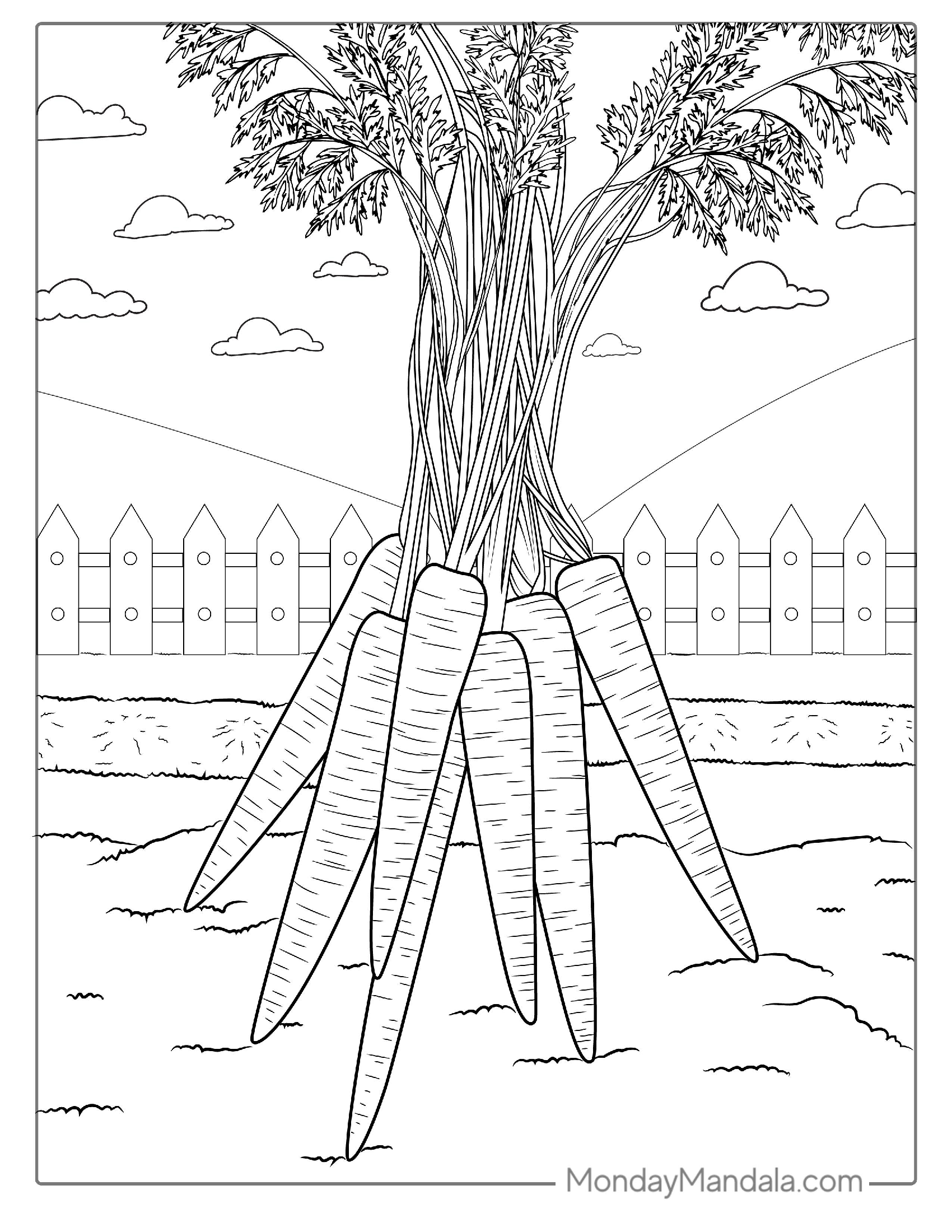 Carrots Coloring Page For Kids