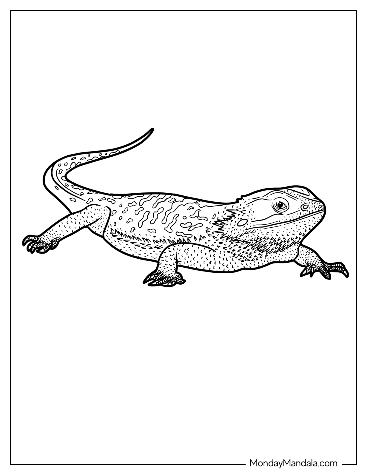 Central Bearded Dragon Lizard Coloring Page