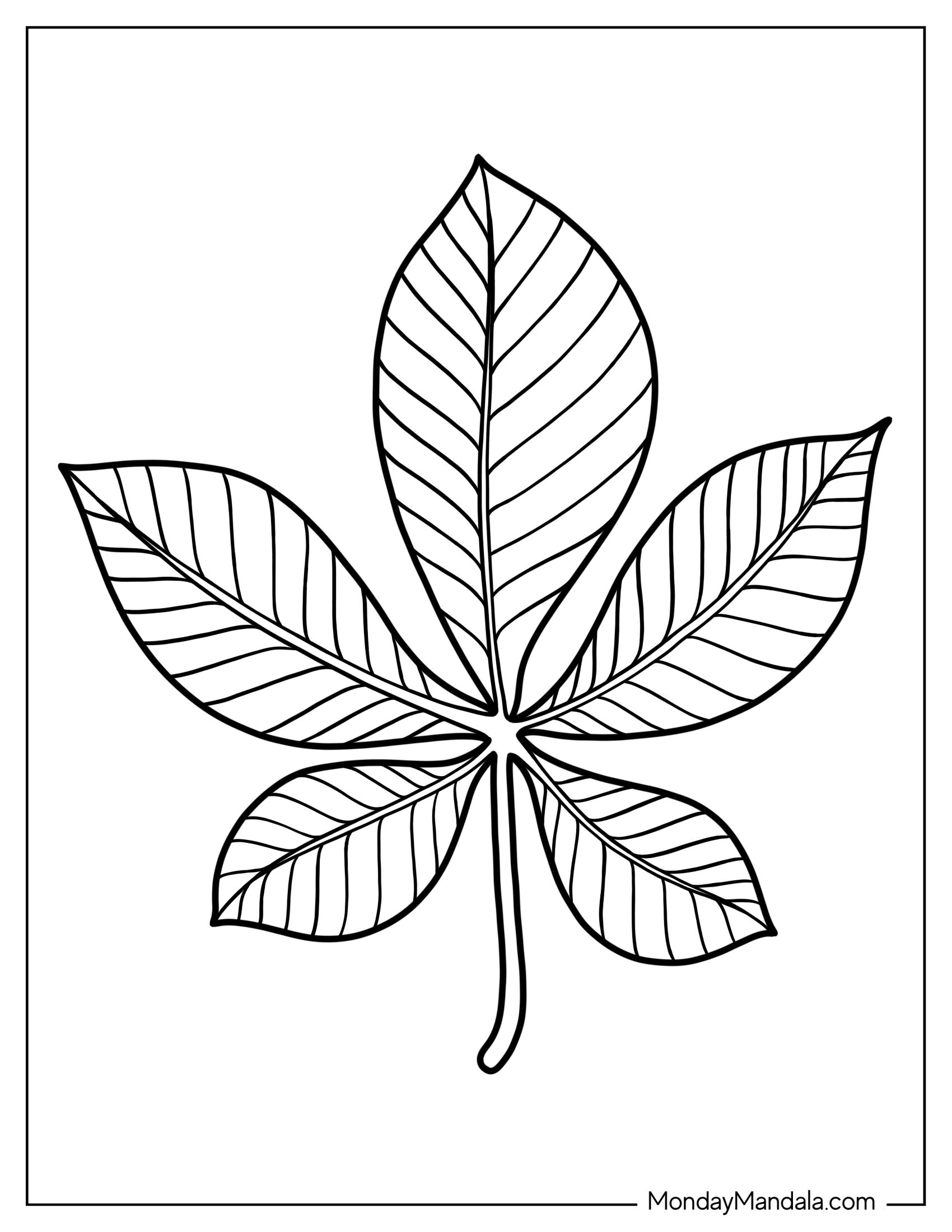 Chestnut Leaf Coloring Page