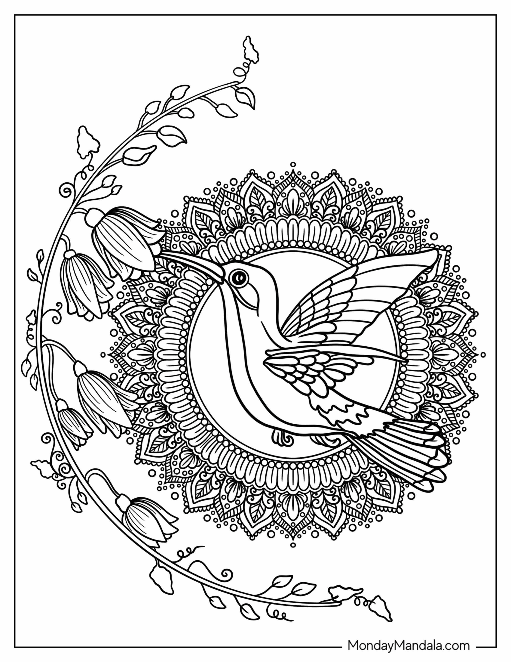 Coloring Sheet Of Hummingbird With Mandala