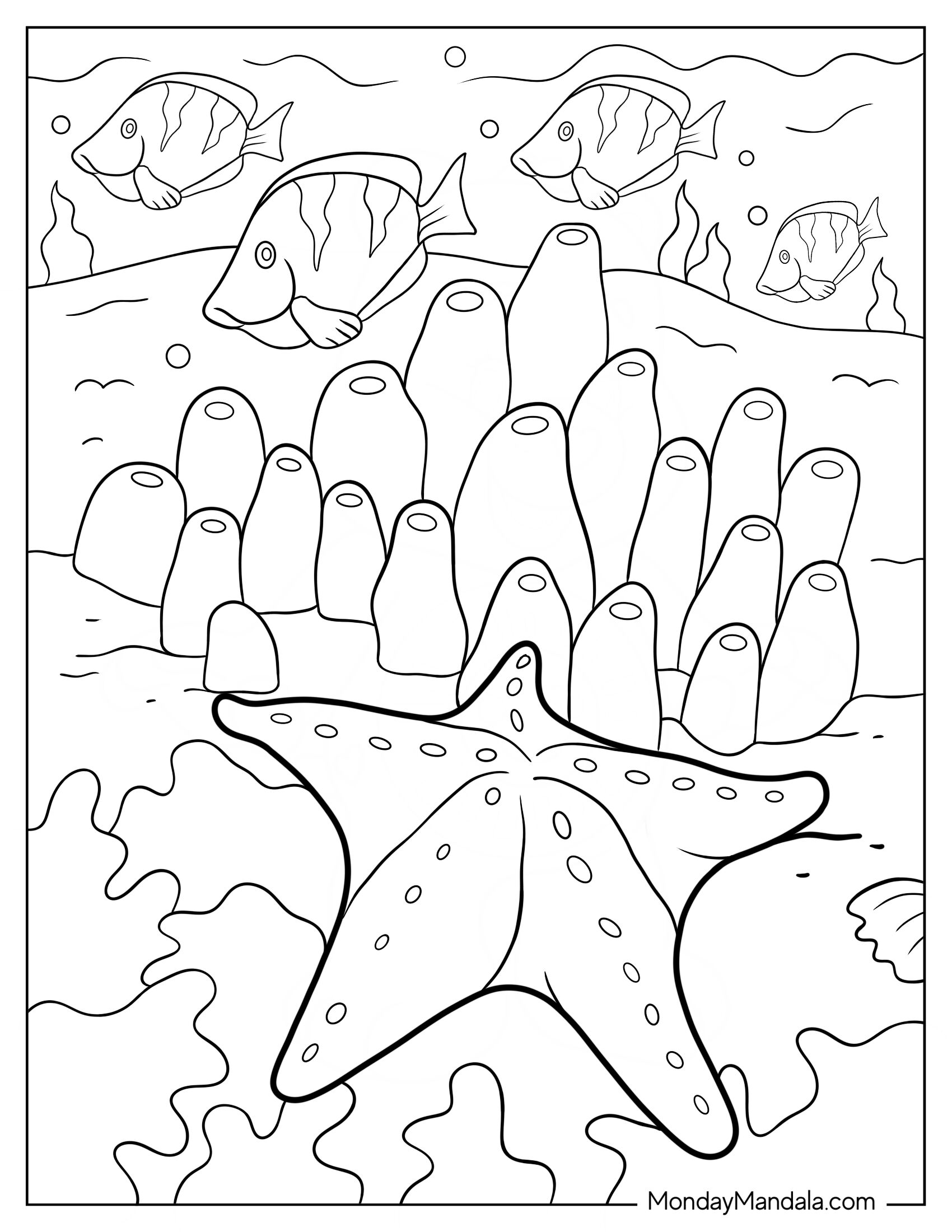 Cushion Starfish Coloring Page Next To Sea Sponges