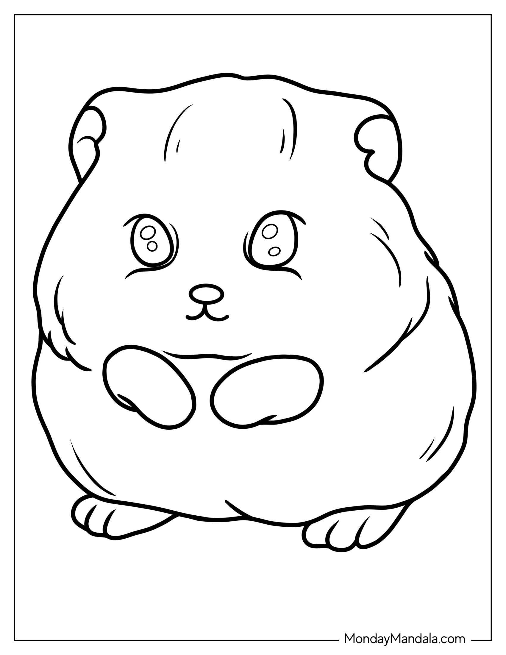 Cute Baby Hamster Coloring Sheet