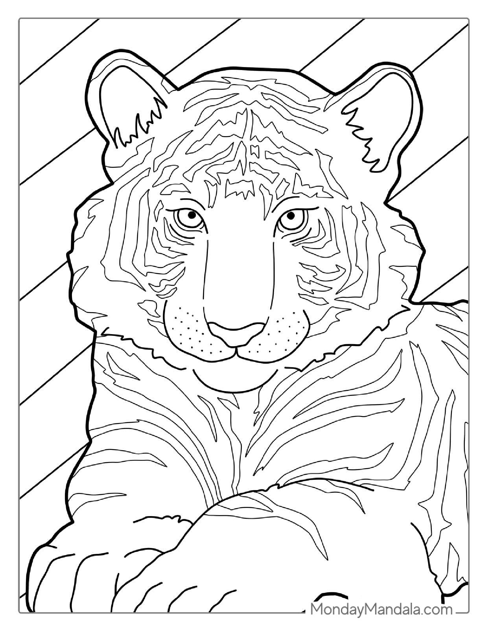 Cute Baby Tiger Coloring For Kids