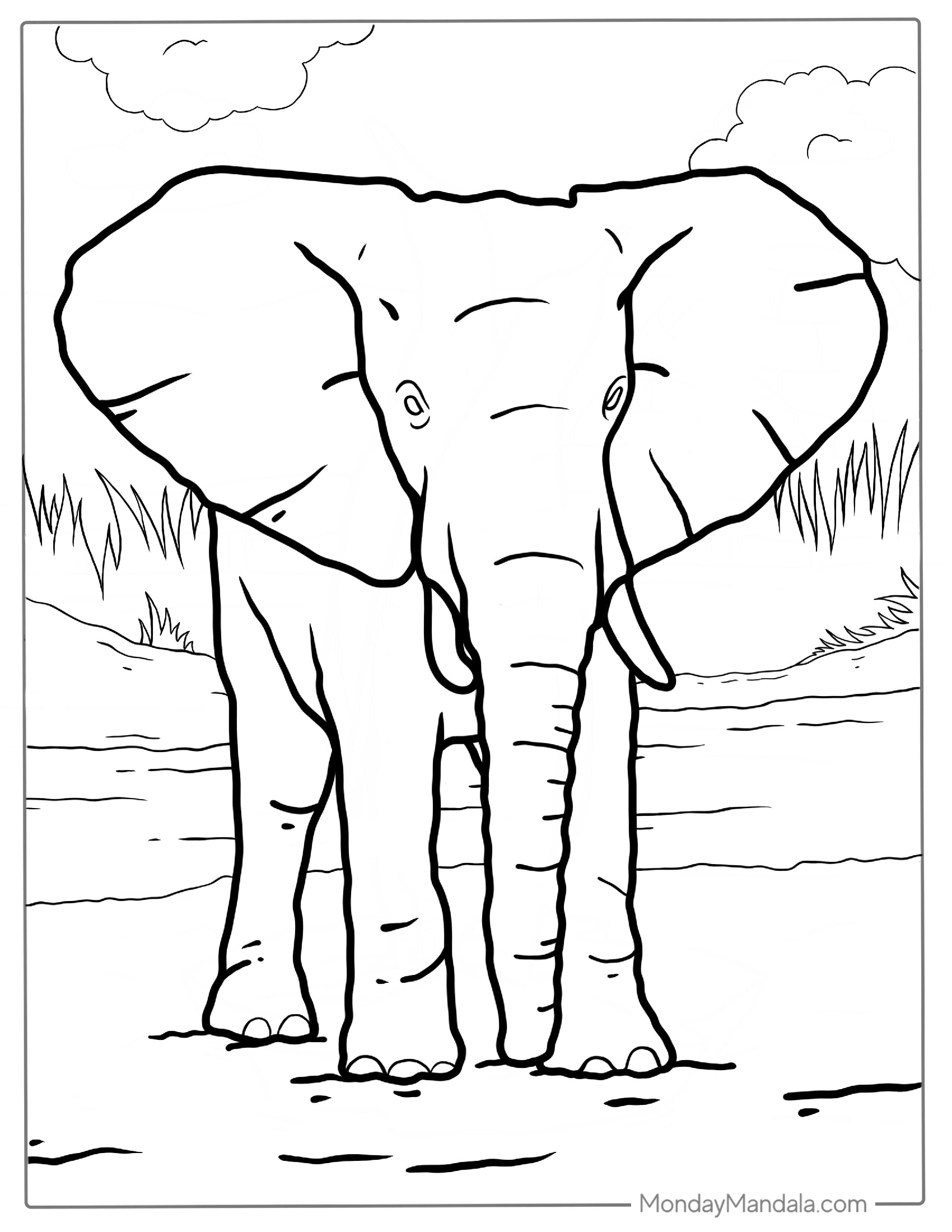 Cute Elephant With Big Ears Coloring Sheet