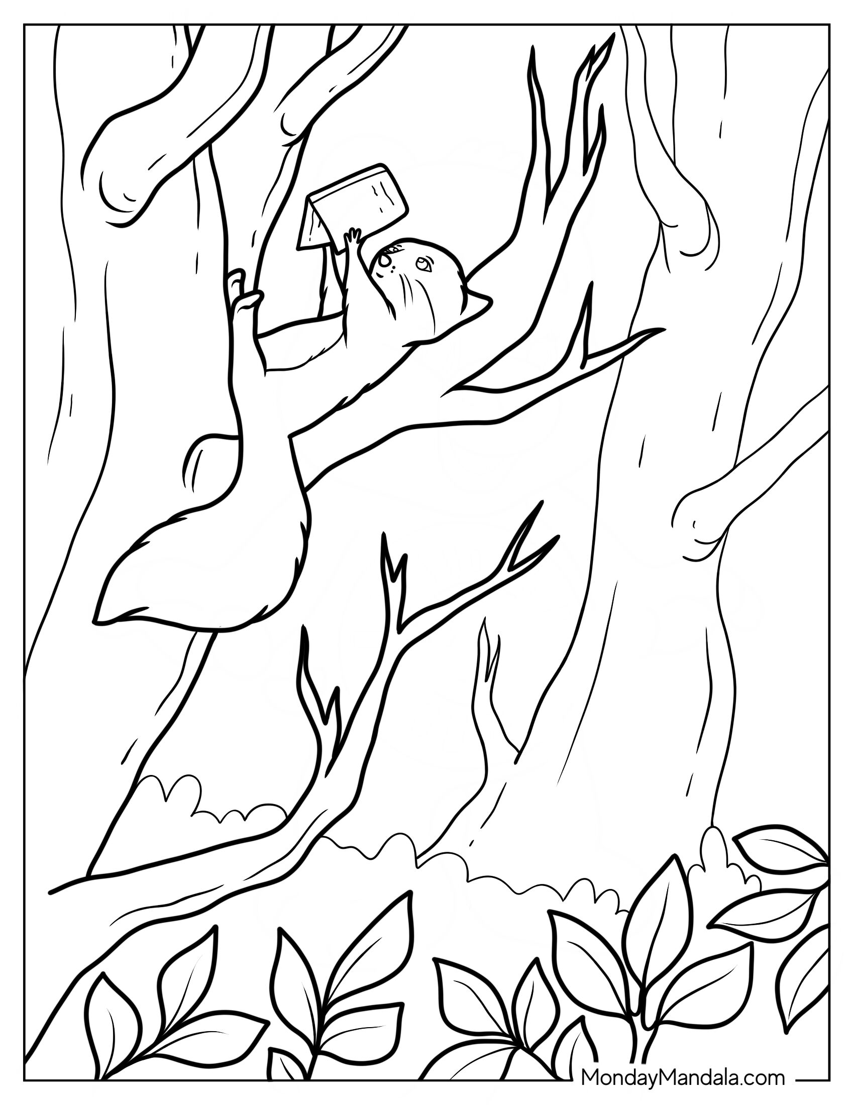 Cute Squirrel Coloring Page Reading Book On Top Of Tree