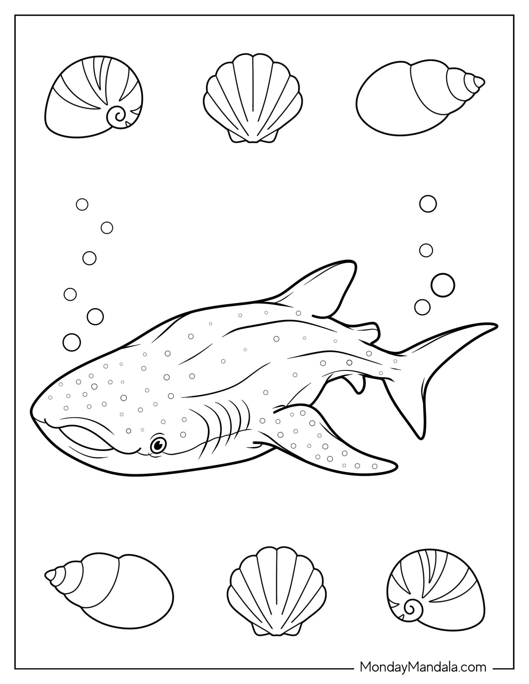 Cute Whale Shark Coloring Page With Seashells