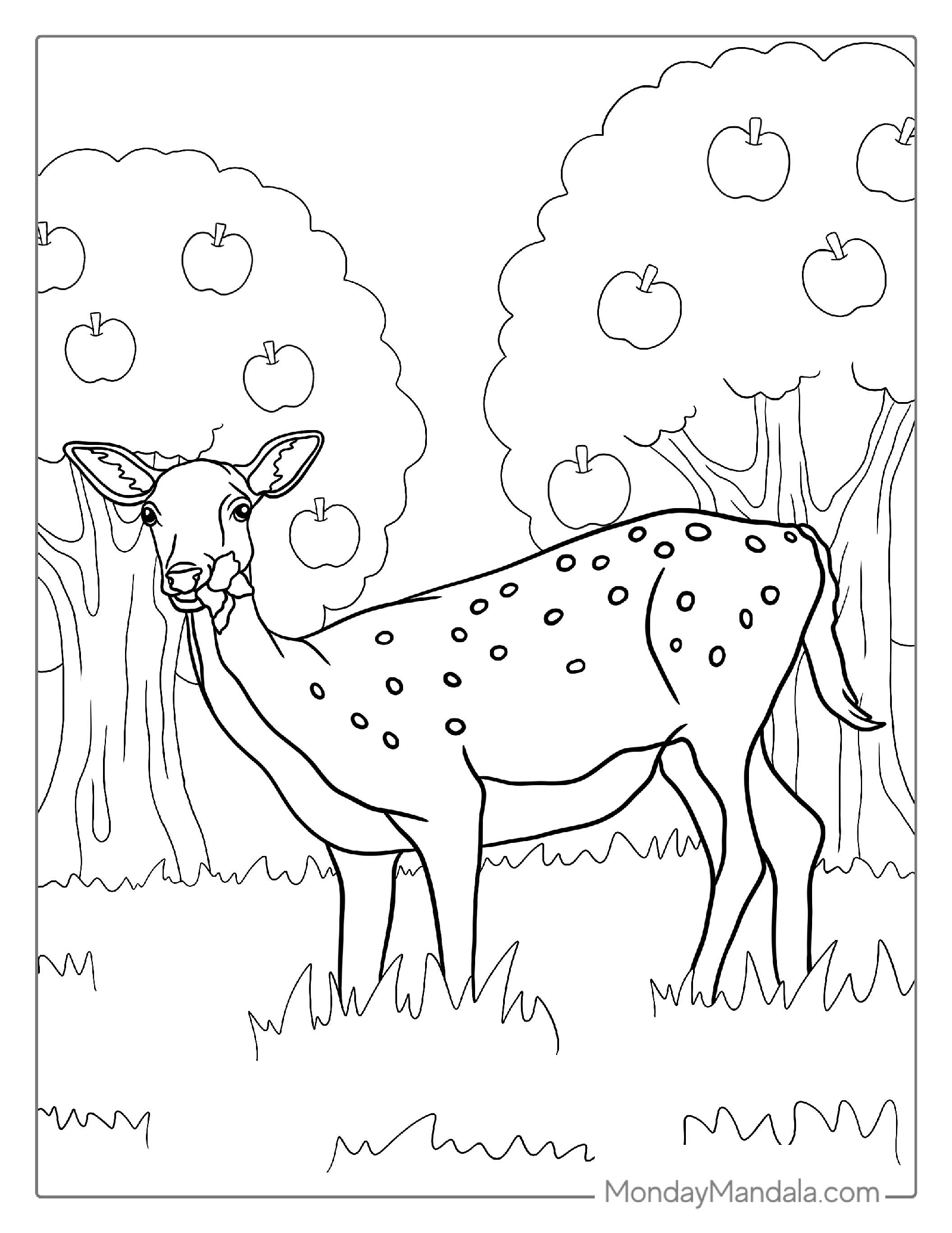 Deer Eating Grass In Forest To Color