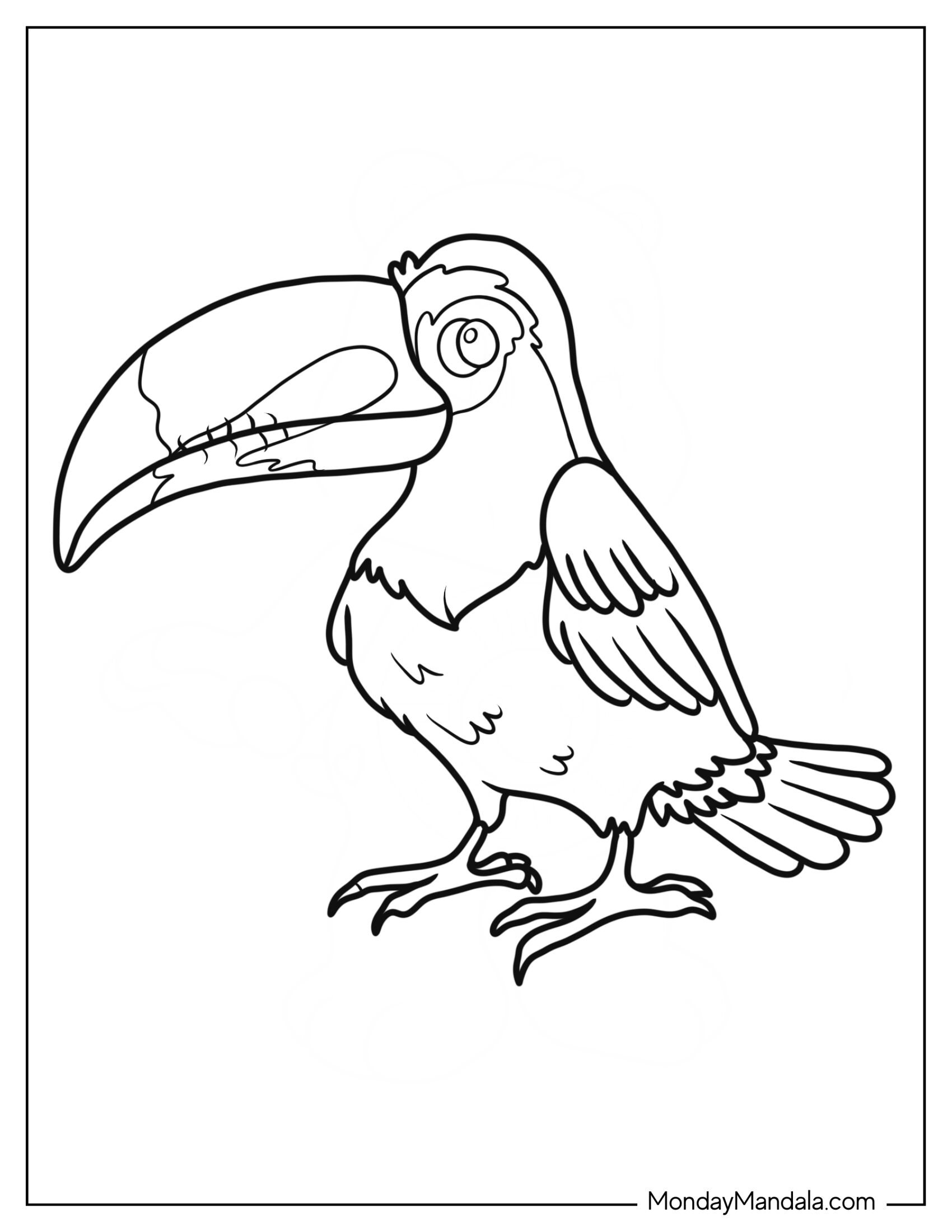 Detailed Adult Toucan Coloring Page