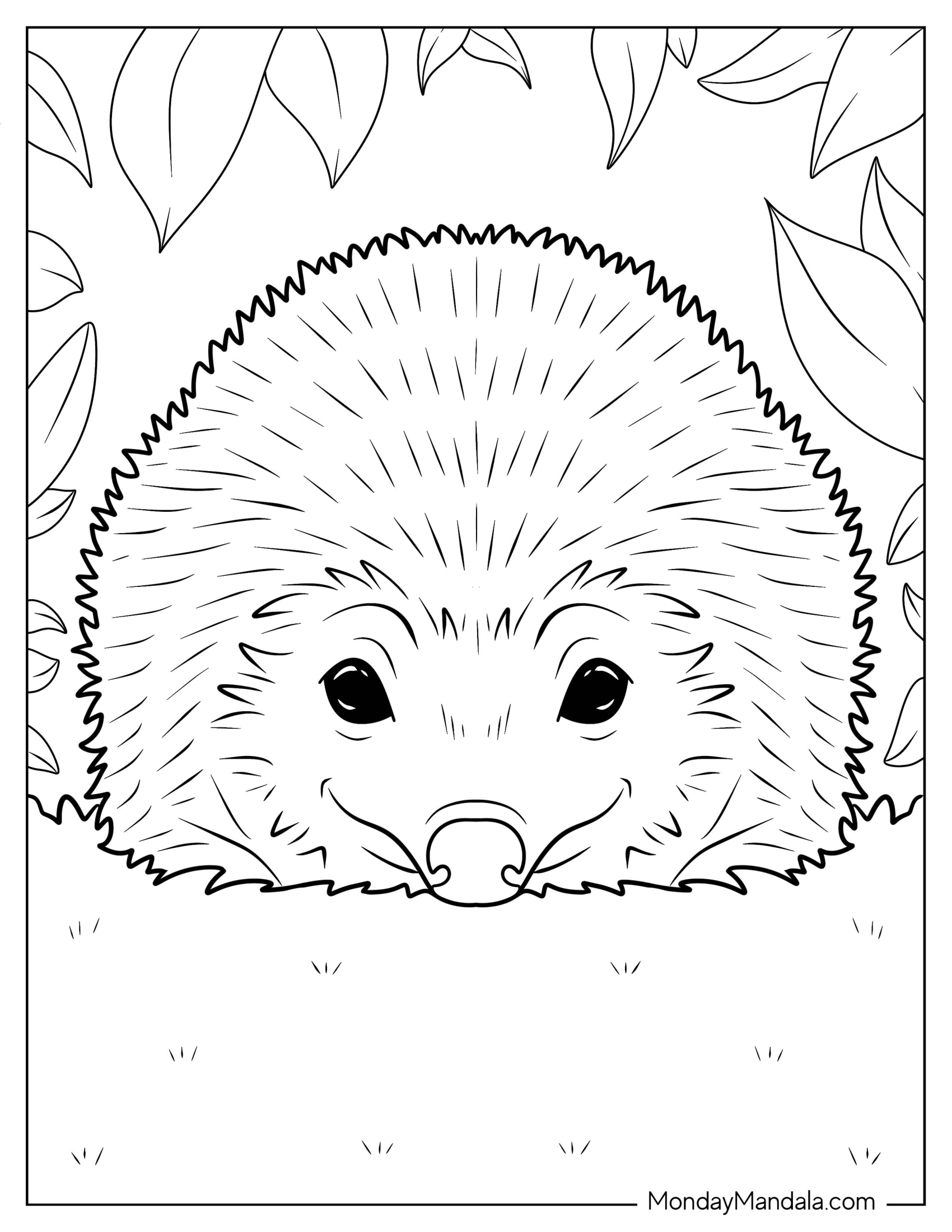 Detailed Hedgehog Coloring Page Resting On Grass