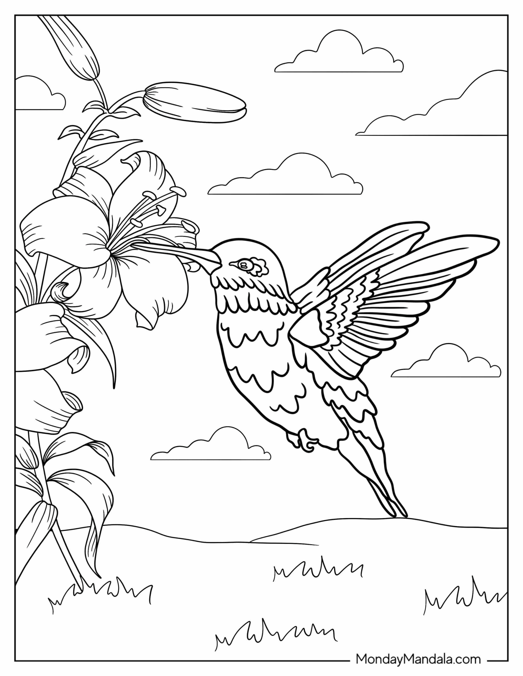 Detailed Hummingbird In The Air Coloring Page