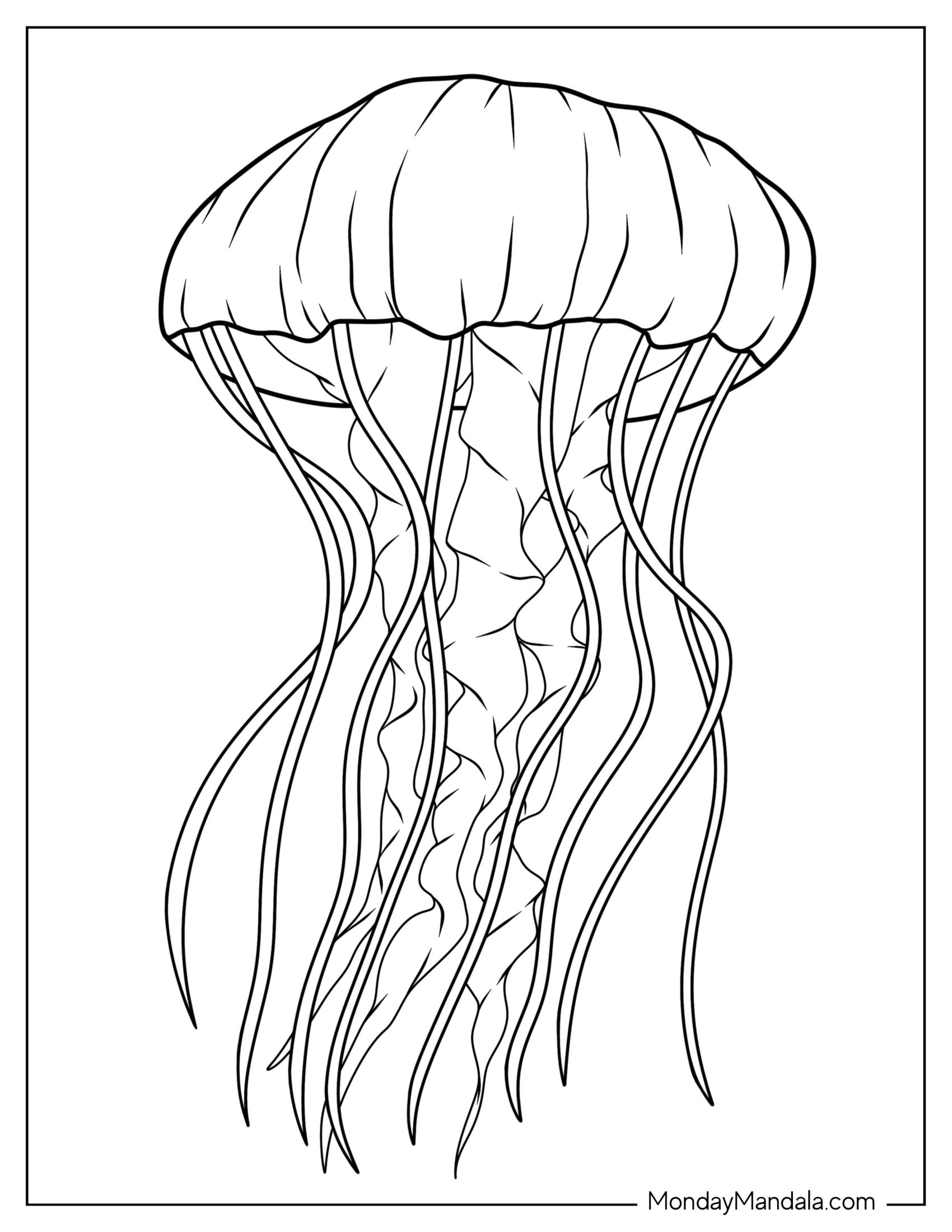 Detailed Lion s Mane Jellyfish Coloring Page