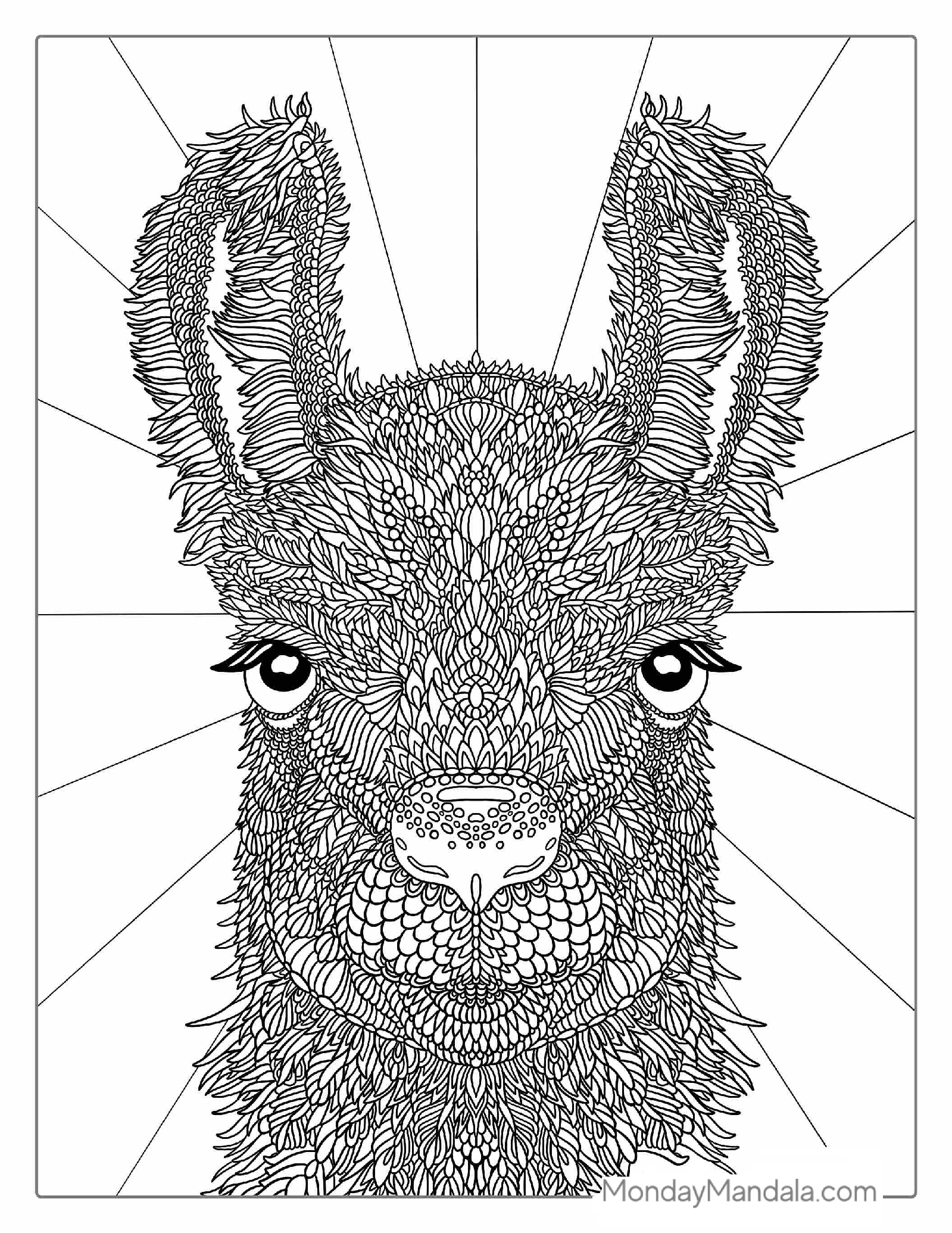 Detailed Llama Coloring Page For Adults