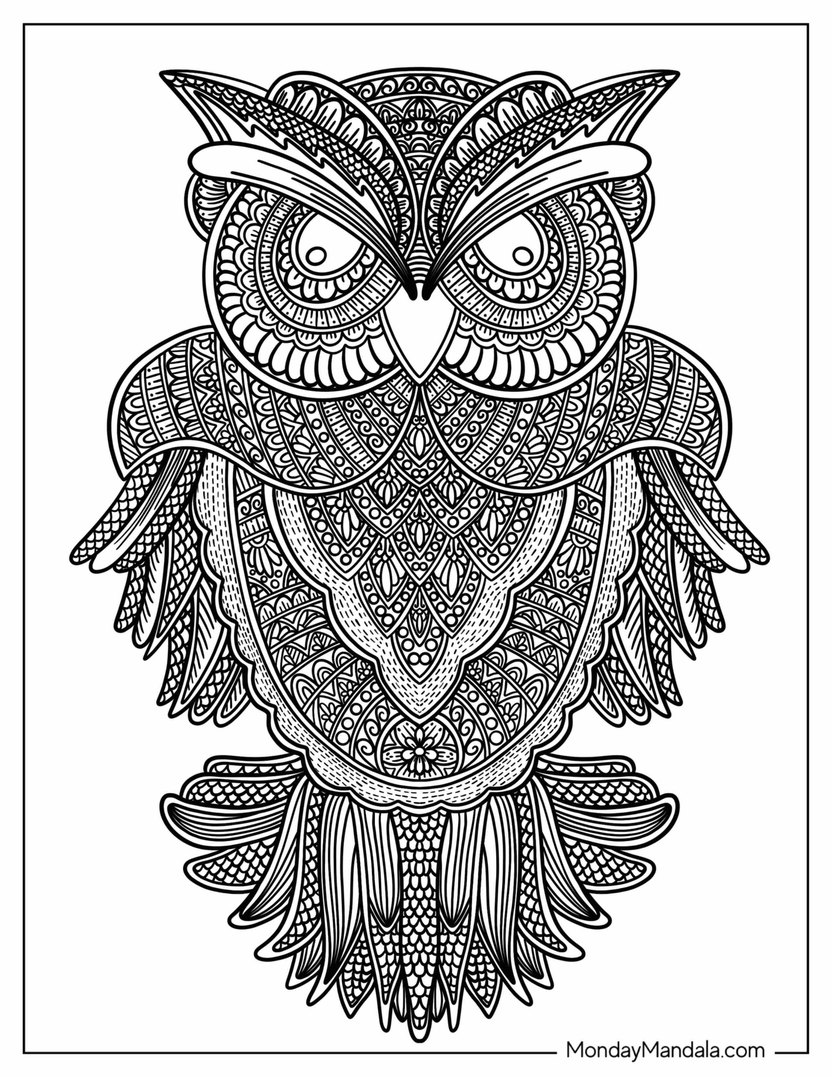 Detailed Owl Zentangle