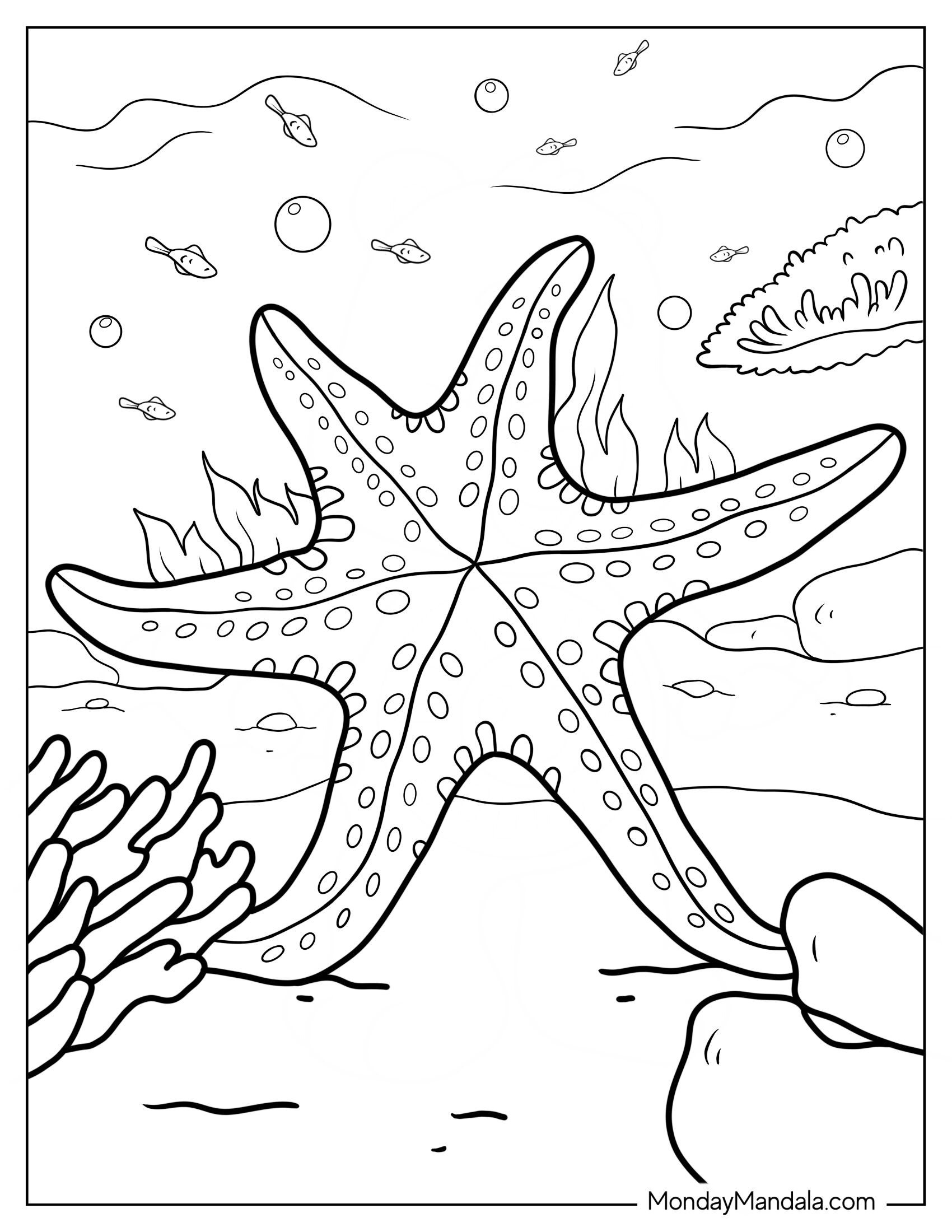 Detailed Starfish Coloring Page Underwater