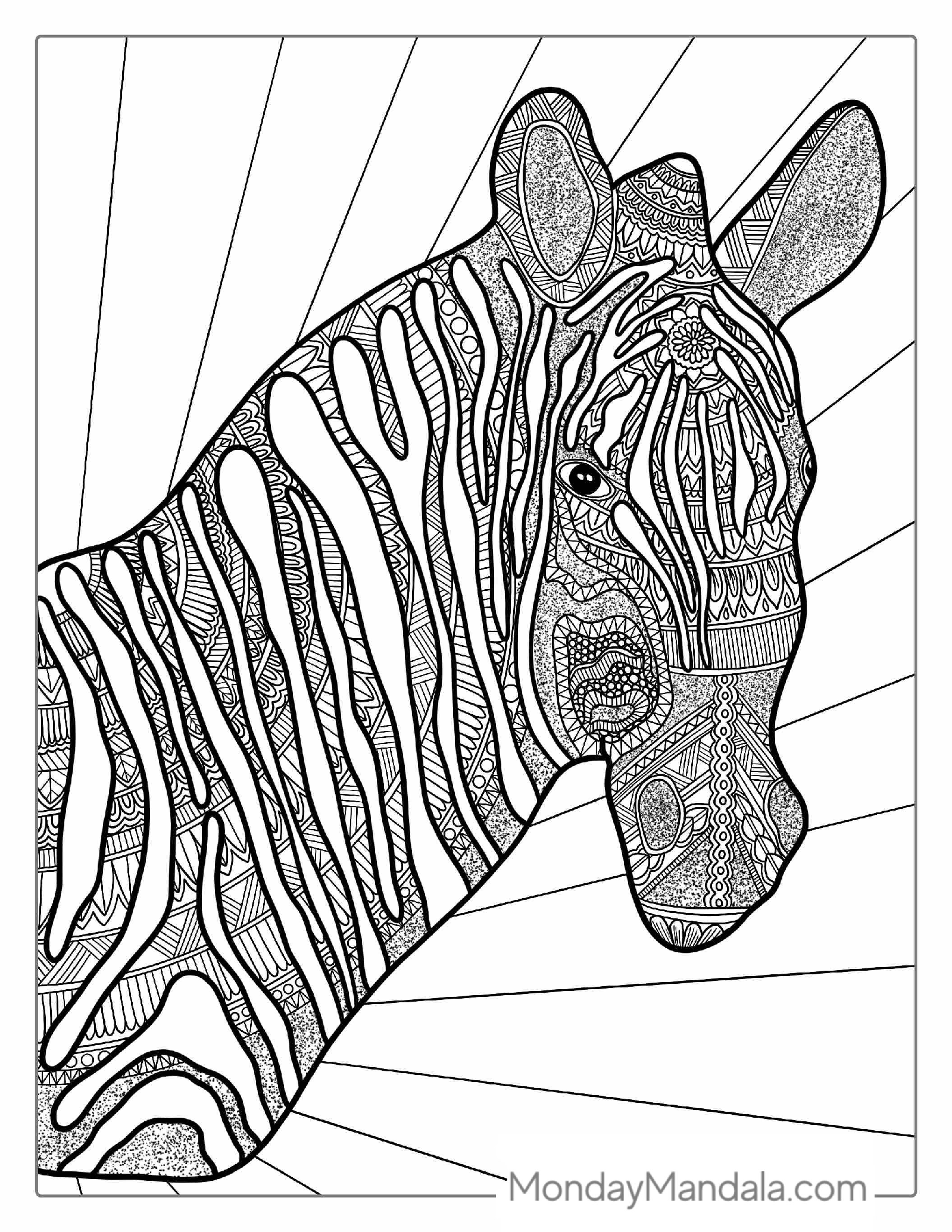 Detailed Zebra Mandala Coloring Page For Adults