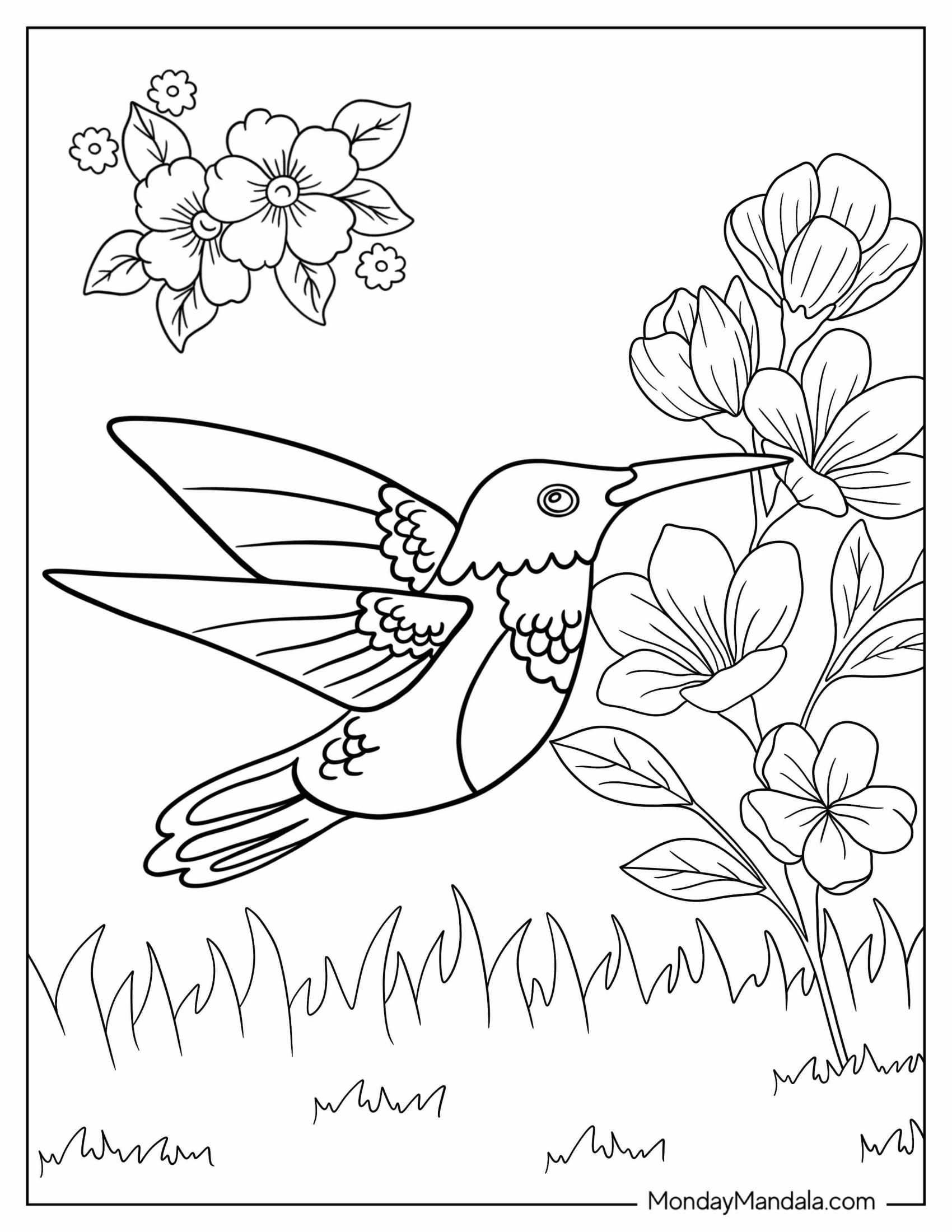 Easy Hummingbird For Preschoolers To Color