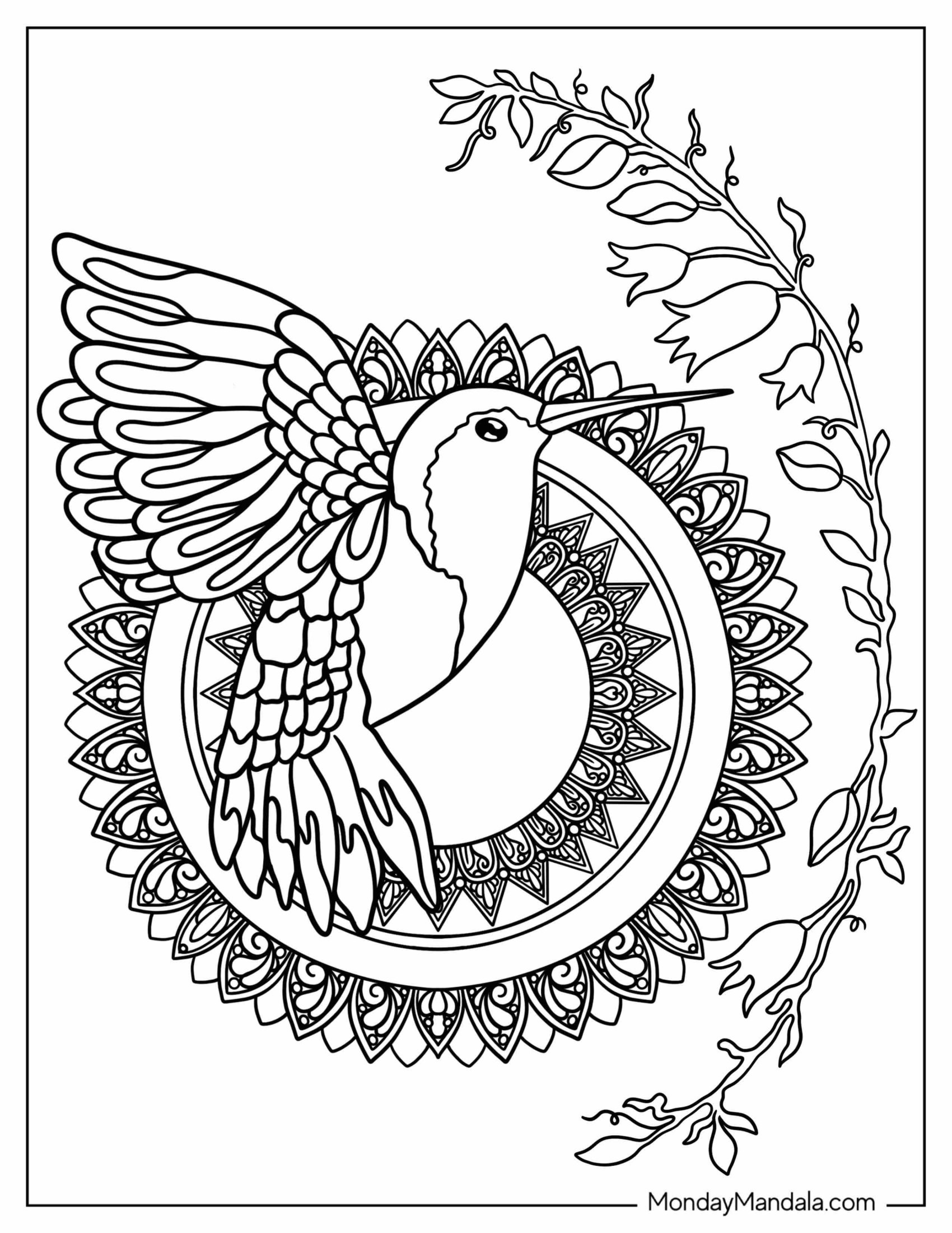 Easy Hummingbird Mandala Coloring In