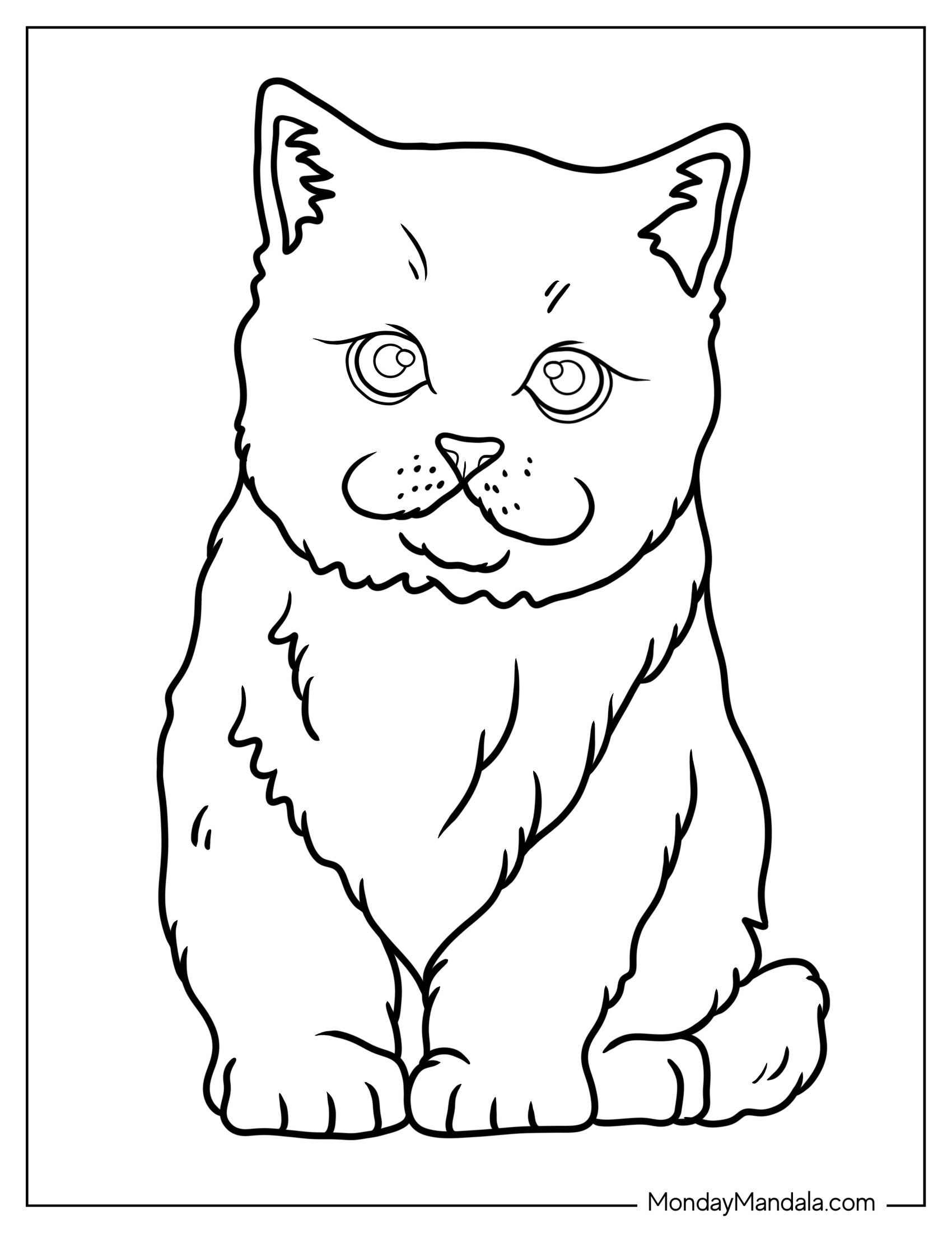 Easy Kitten Outline Coloring Page For Kids