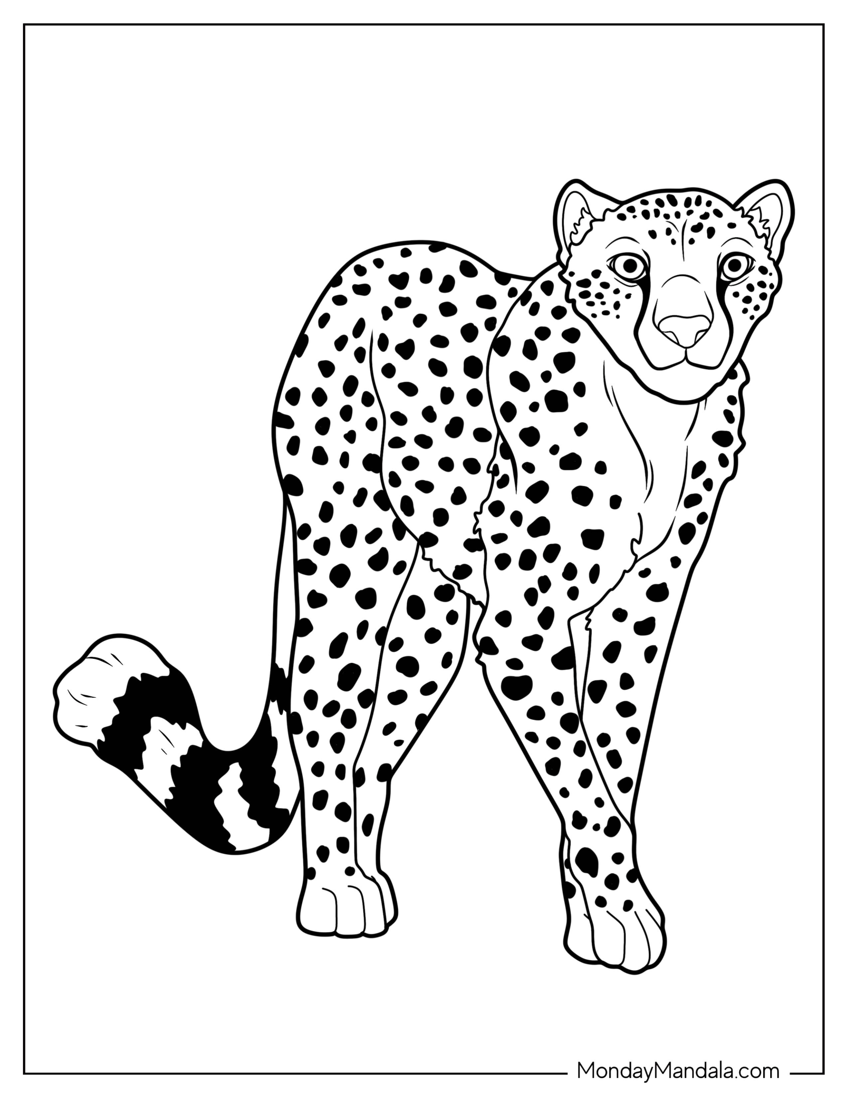 Easy Outline Of Friendly Cheetah Coloring Page