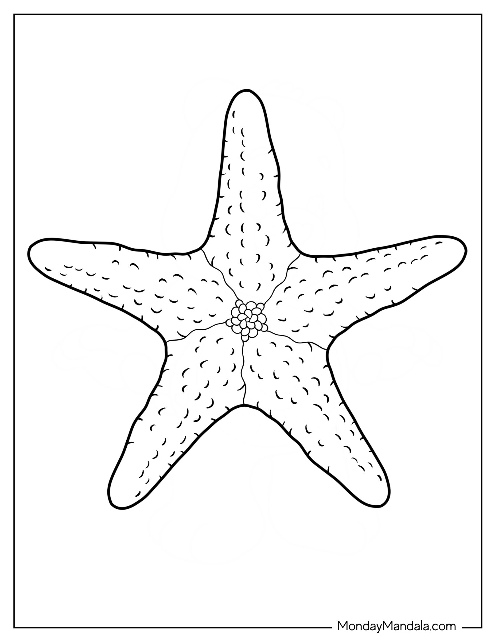 Easy Outline Of Starfish Coloring Page