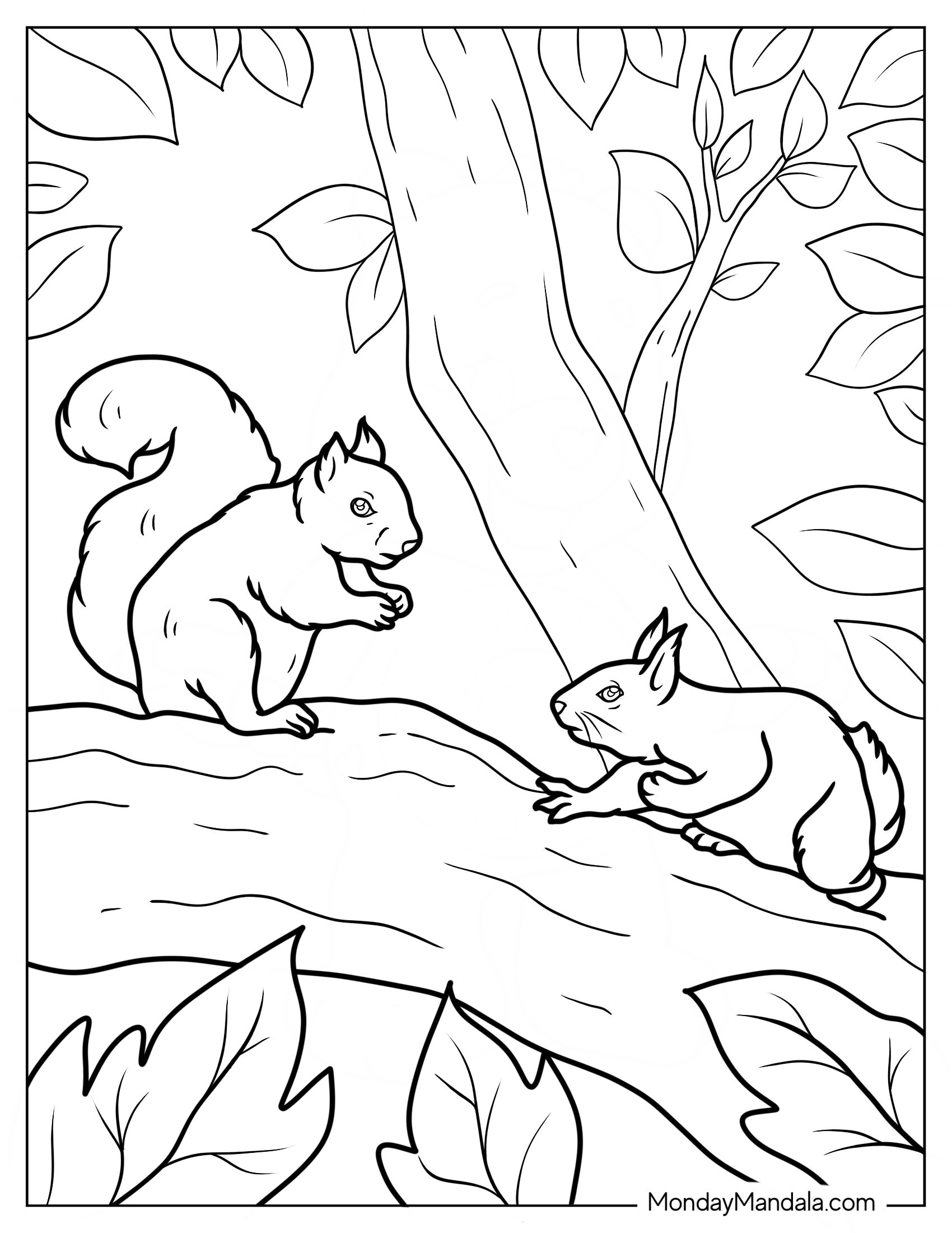 Easy Outline Of Two Squirrels Coloring Page On Tree Branch