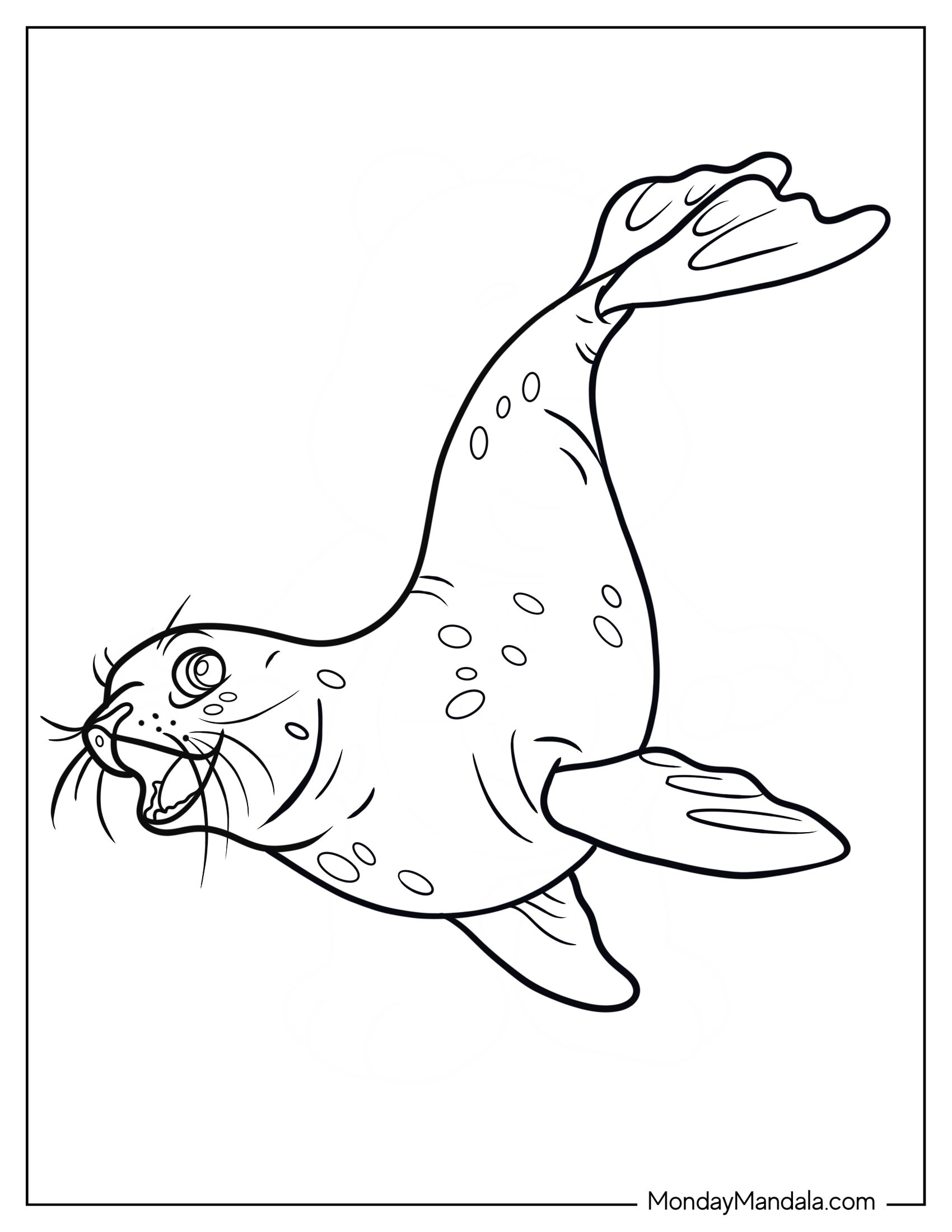 Easy Seal Coloring Page Outline