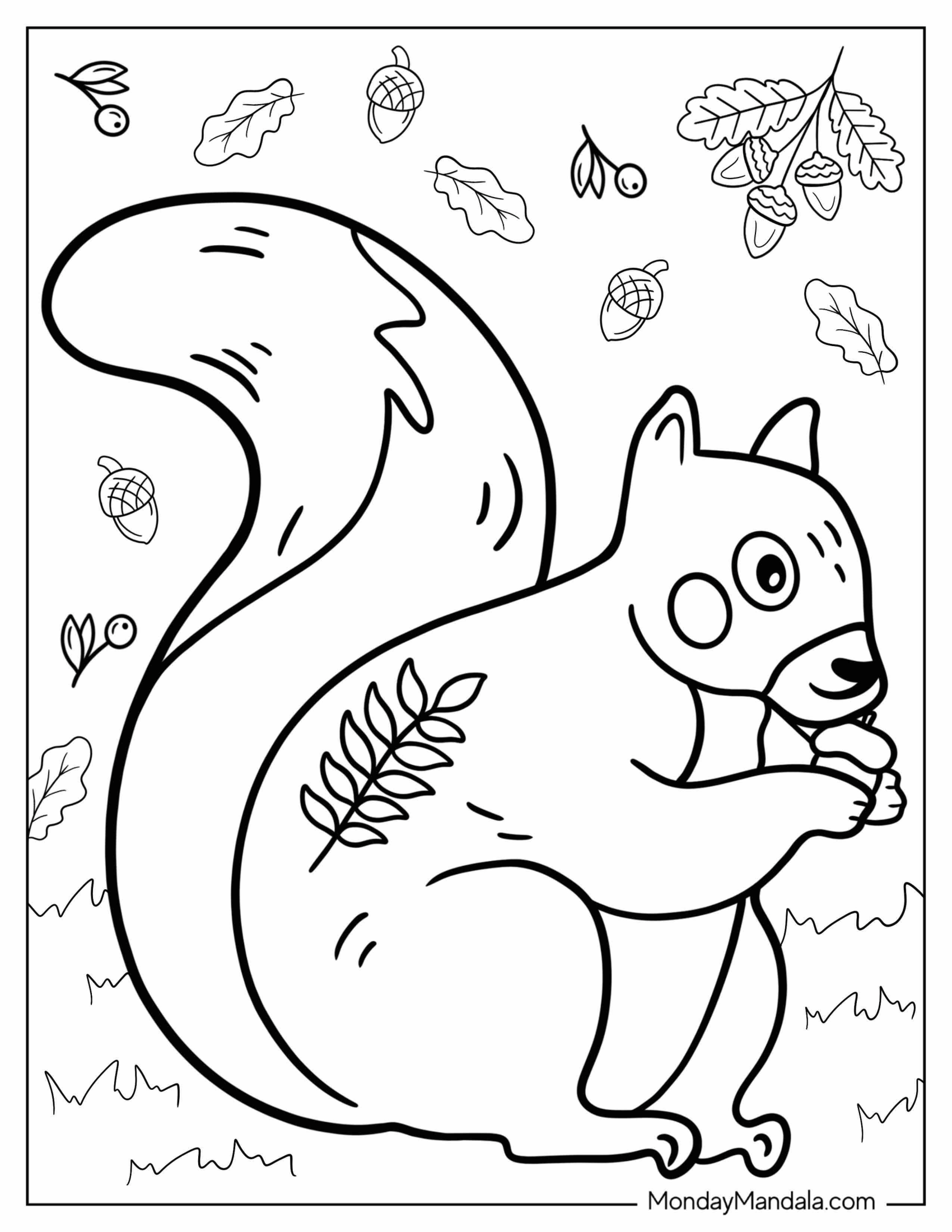 Easy Squirrel Eating Acorn Coloring Sheet