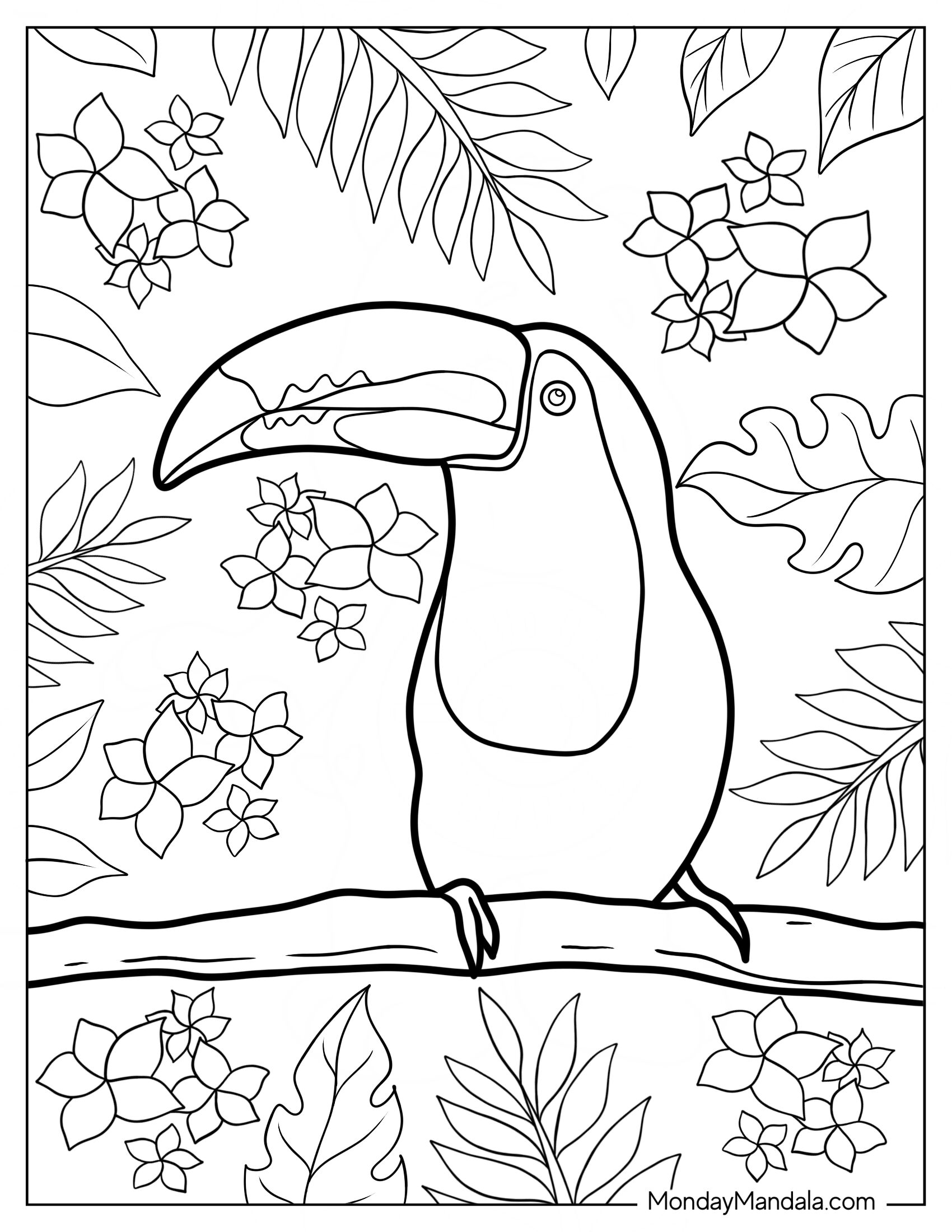 Easy Toucan Coloring Page With Flowers And Leaves