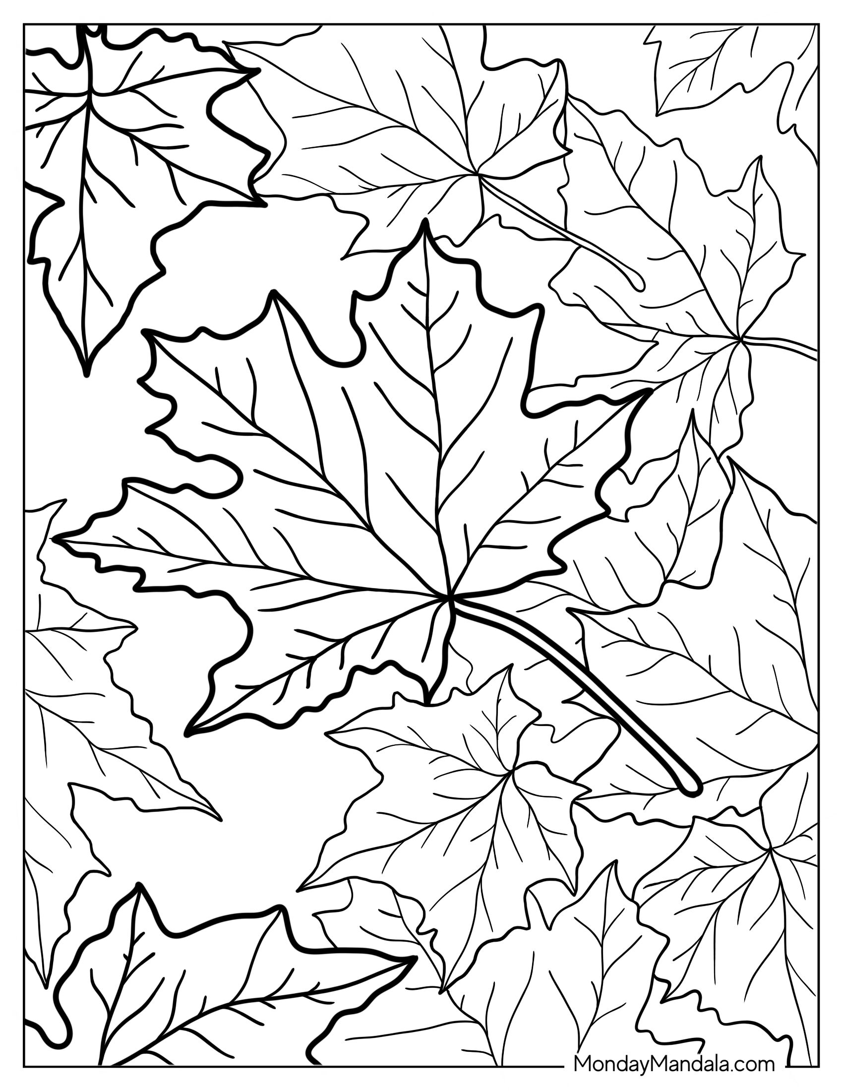 Fall Coloring Page Of Full Page Fall Maple Leaves